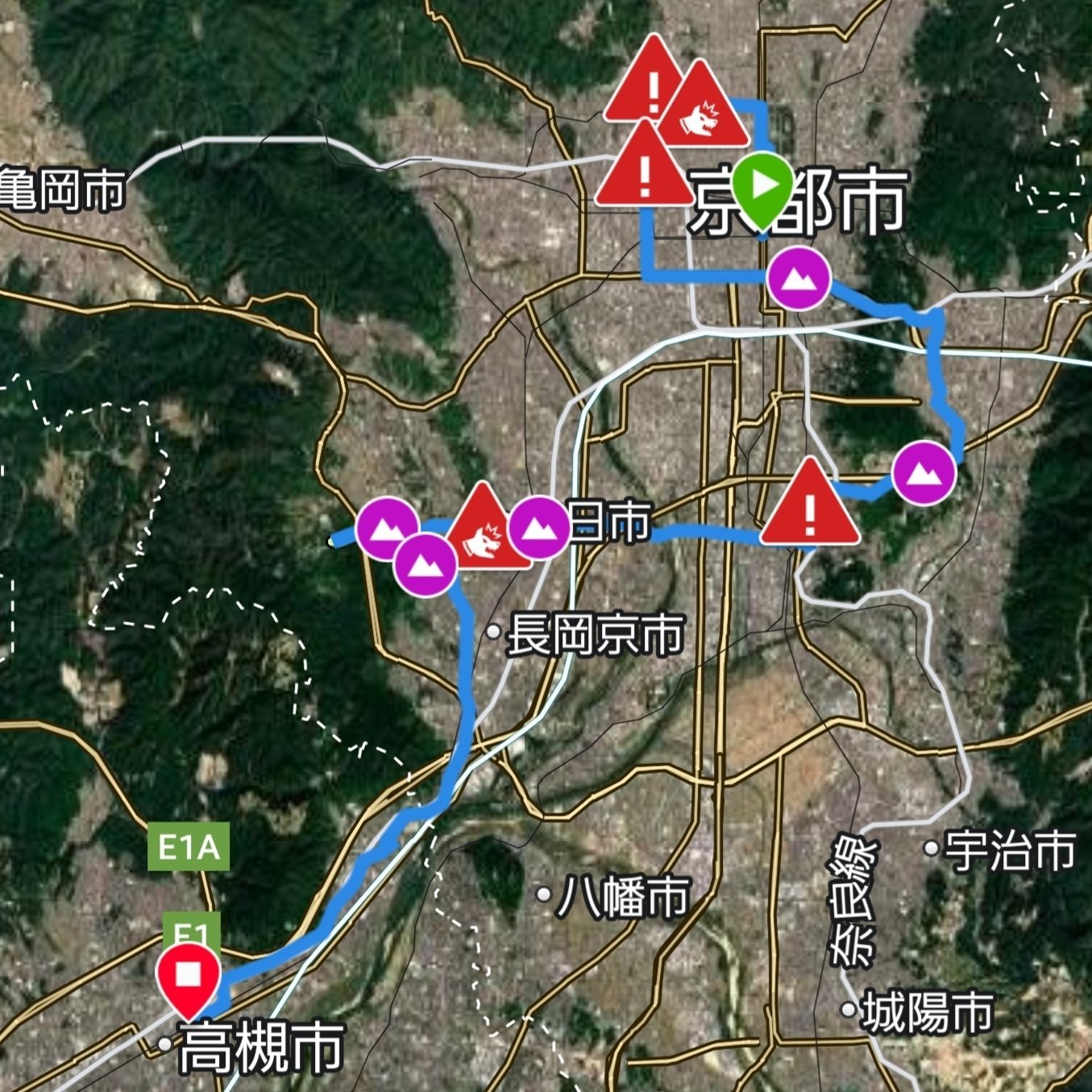 250412 桜吹雪京都花の山巡礼|3Q 250412 桜吹雪京都花の山巡礼|3Q