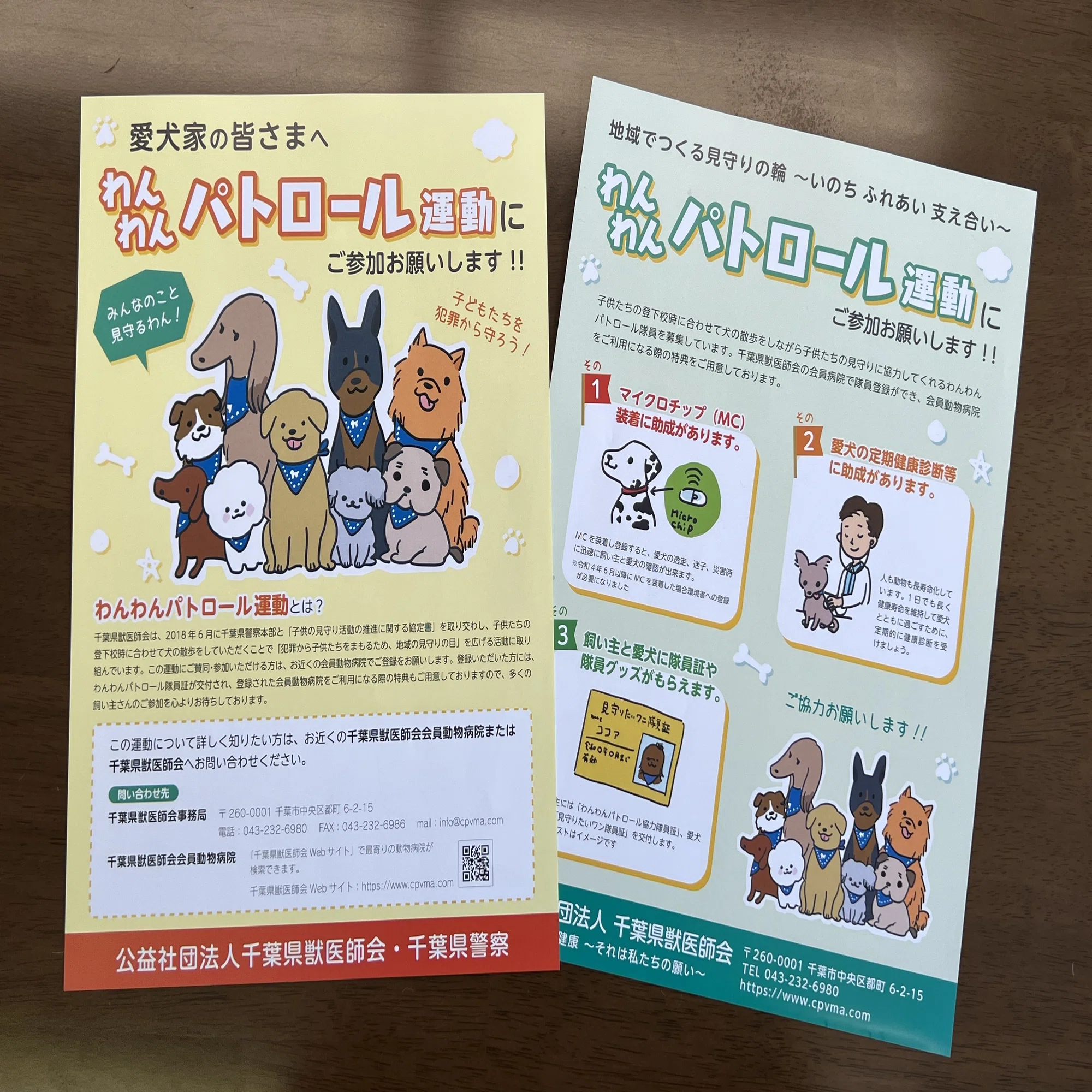 個人でも出来る！わんわんパトロール！ ｜J:COM地域取材ノート