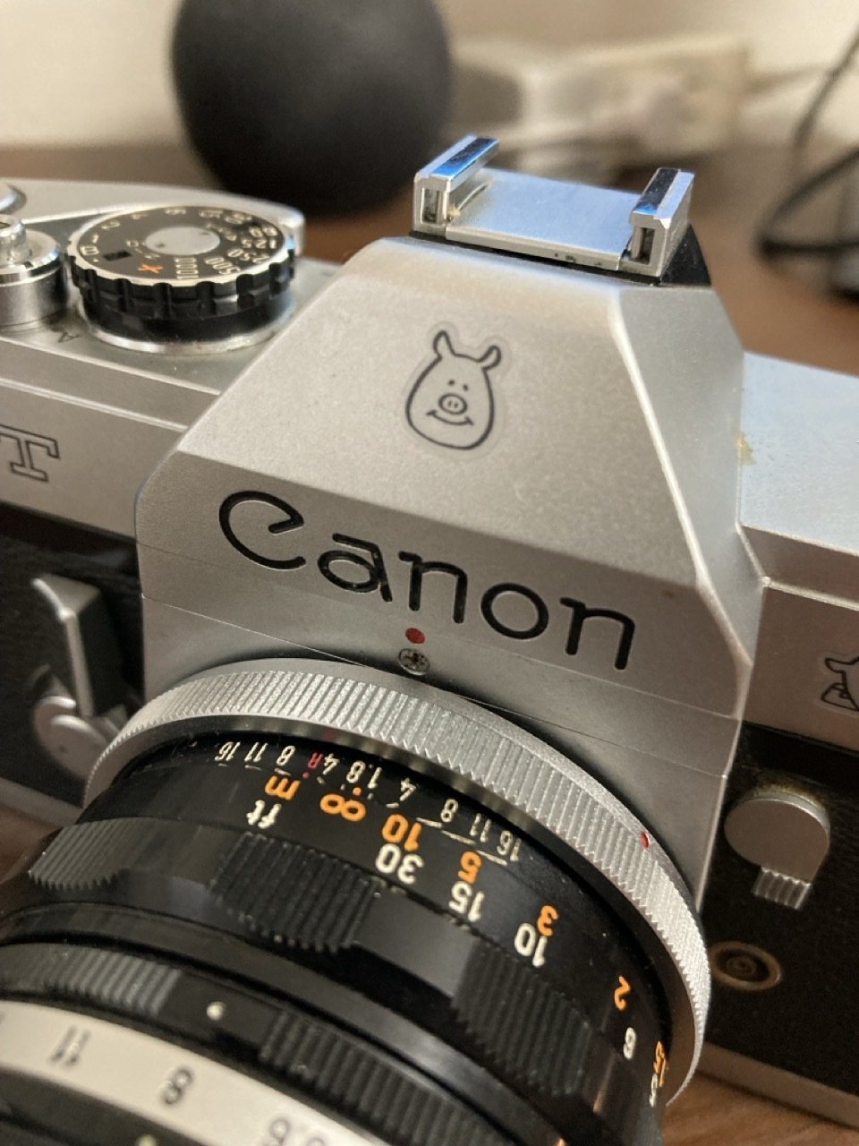Canon FTで鎌倉・円覚寺をモノクロフィルムで撮った写真の話｜黒猫デル太