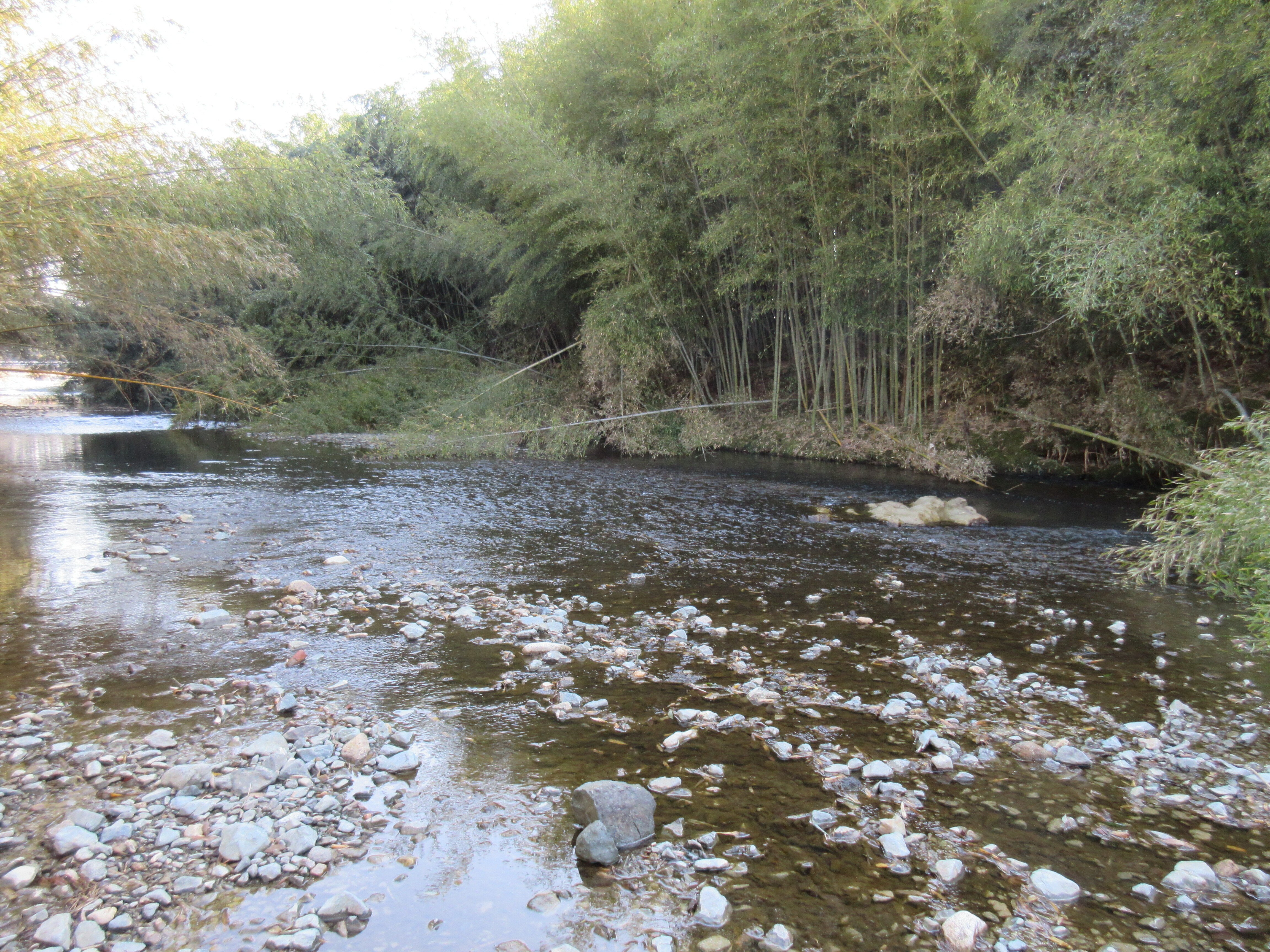 妖怪を追い求めて：人魚園｜宇迦