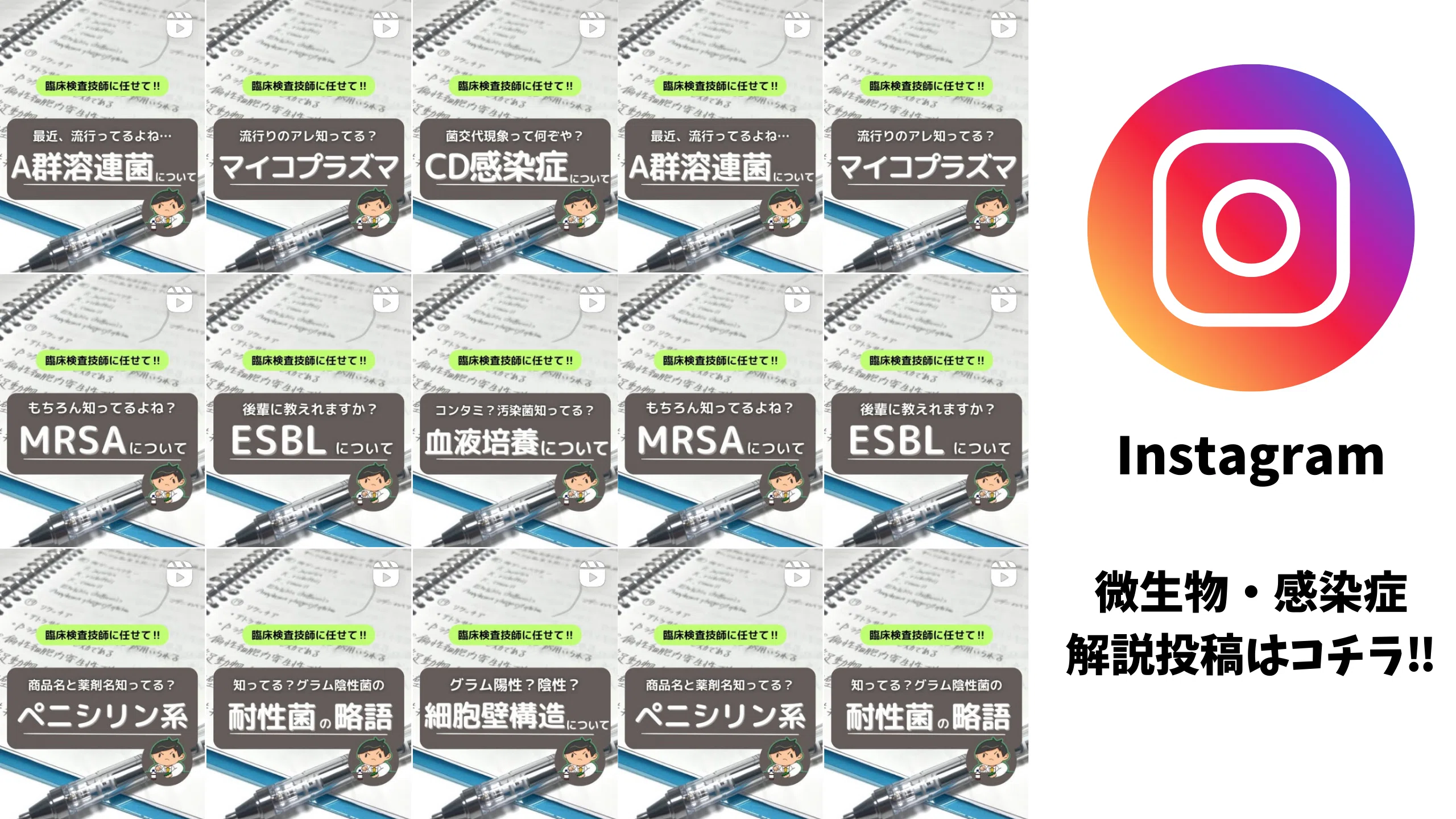 愛用の参考書紹介✨｜微生物・感染症分野｜臨床検査技師5年目🥼｜こよ/Koyo