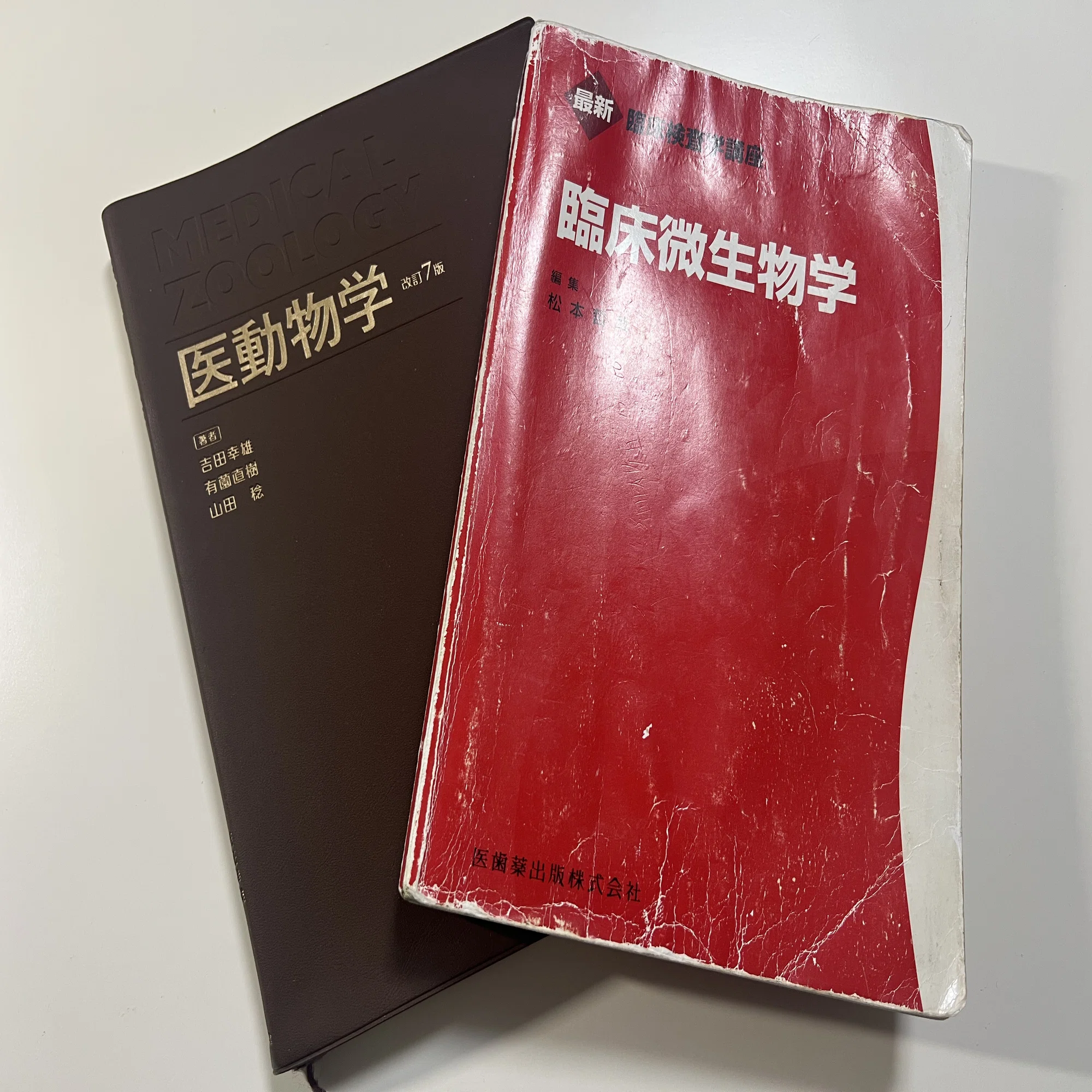 愛用の参考書紹介✨｜微生物・感染症分野｜臨床検査技師5年目?｜こよ/Koyo