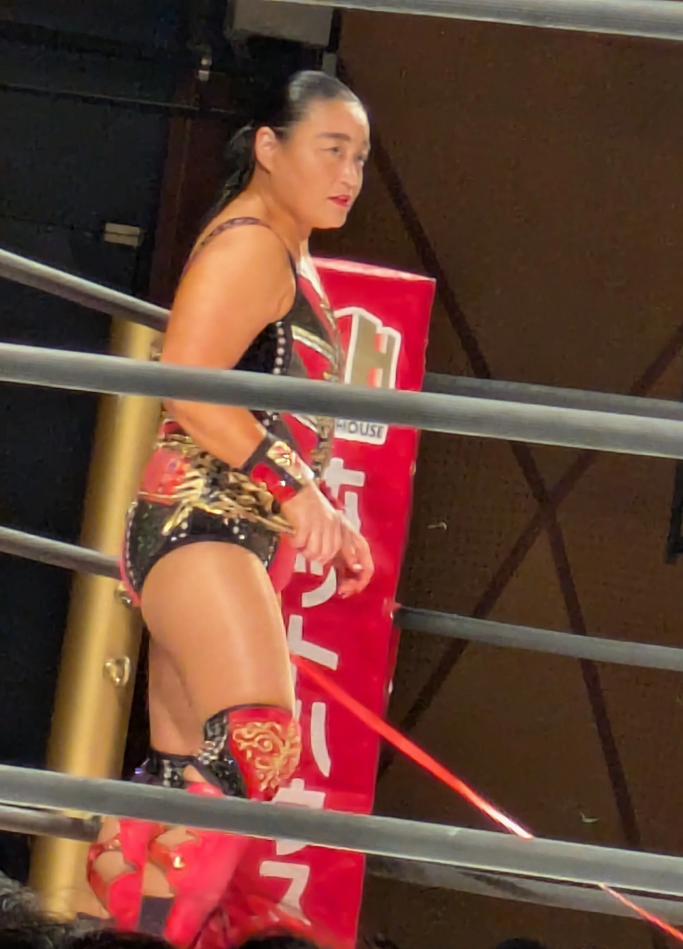 4/12 センダイガールズプロレスリングin大阪 ｜魔人ハンターミツルギ
