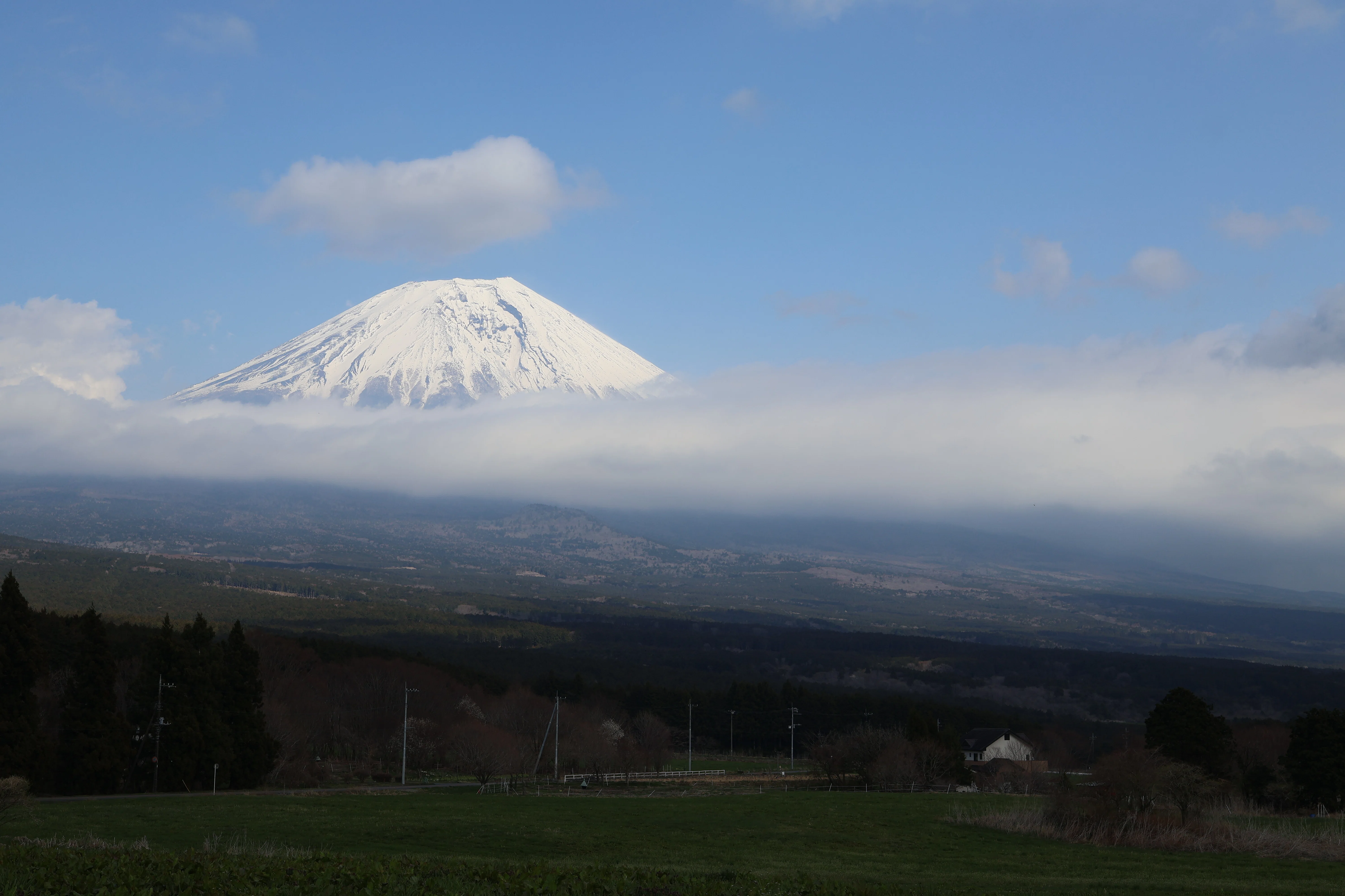 2025年キャンプ記 ～一瞬の富士山と最高の仲間たち TREE LINE chillax