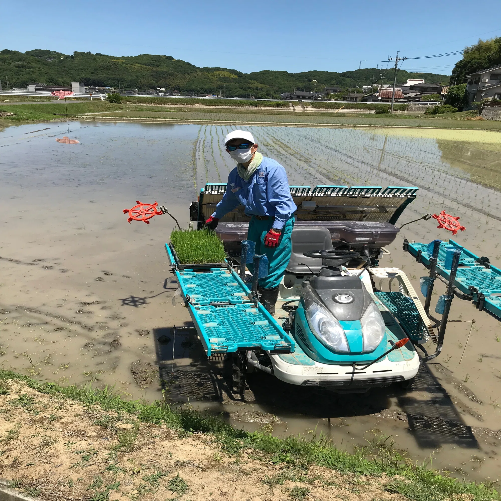 77」 農園をDX・AI化、個別最適化される農業を目指して｜Ritsuo