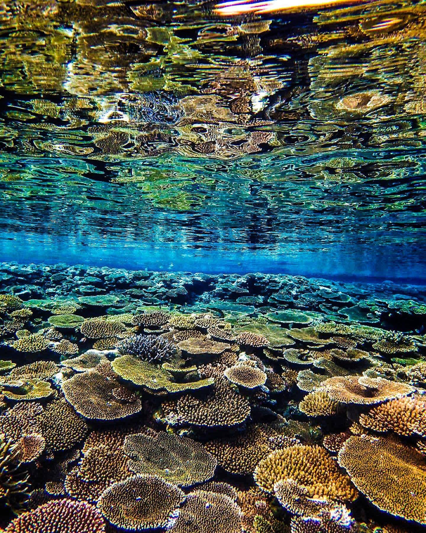 年に数回だけの奇跡の日。ベタ凪の沖縄の海が、絶景すぎる。｜海と旅