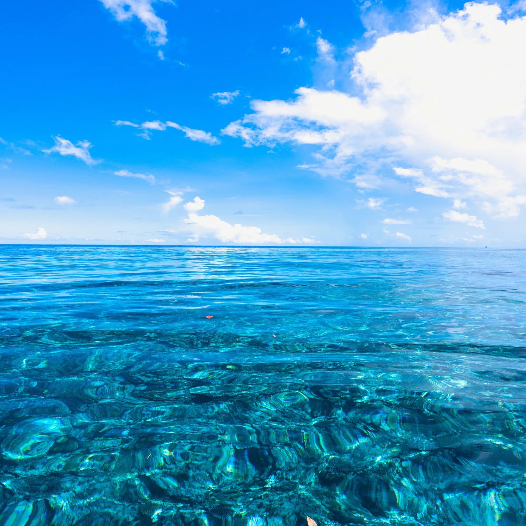 年に数回だけの奇跡の日。ベタ凪の沖縄の海が、絶景すぎる。｜海と旅 