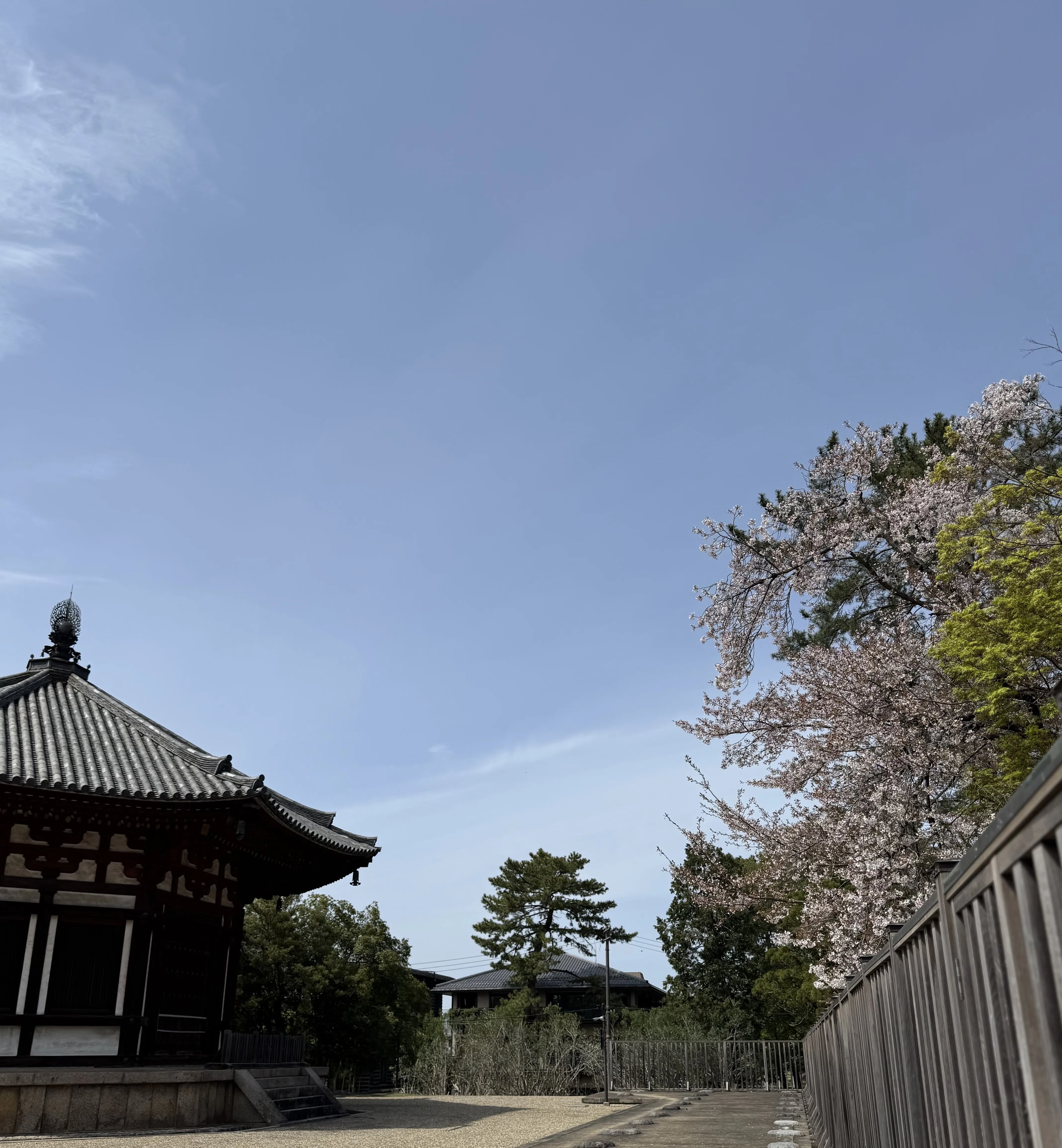 本日も奈良公園🦌奈良国立博物館仏像館 参｜しかのじょう