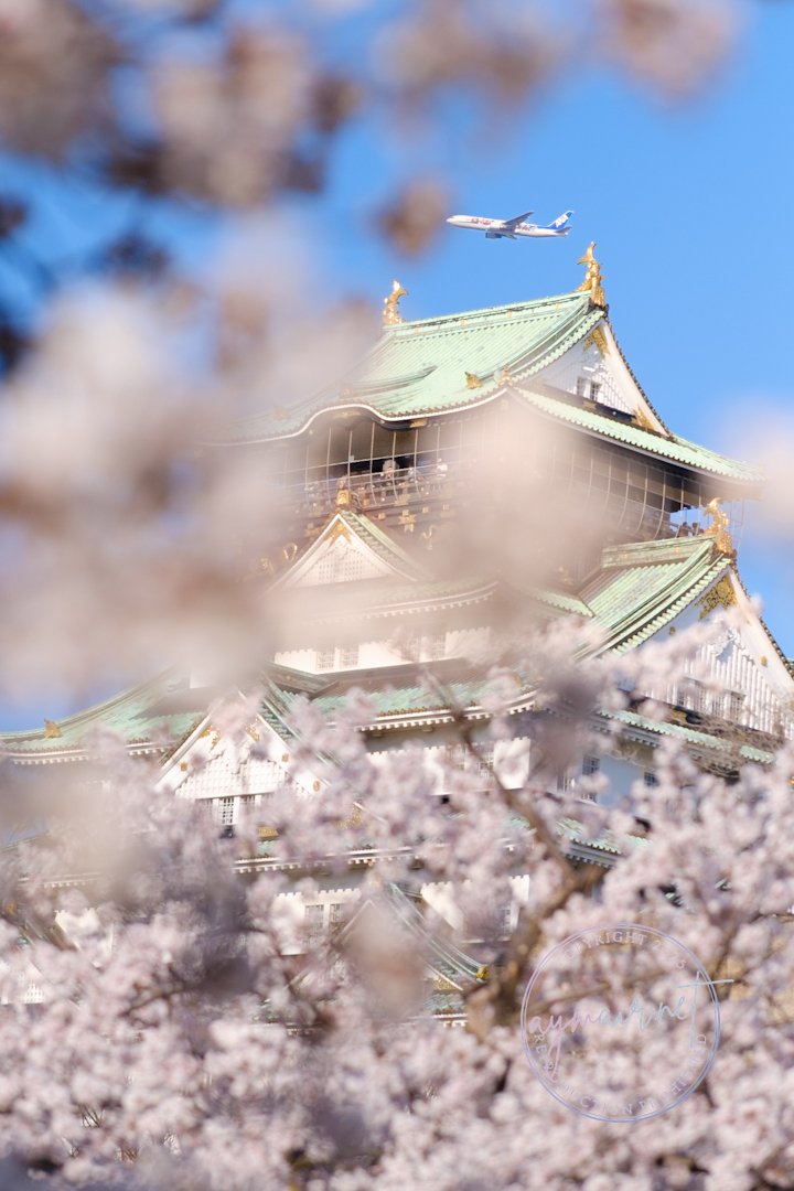 お城×ヒコーキ＝エモい春。大阪城の写真で富士フイルムメタバース