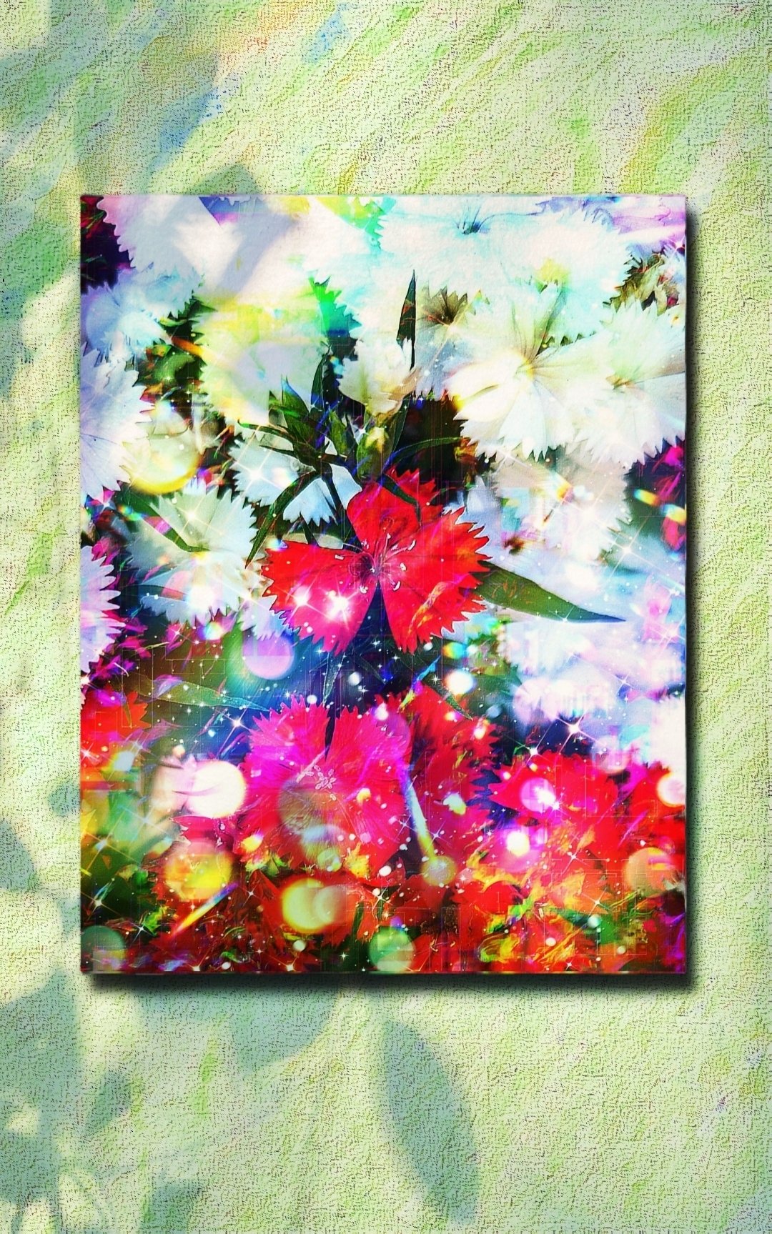 a-1895 光 出逢い 朱と白 The light on white and red