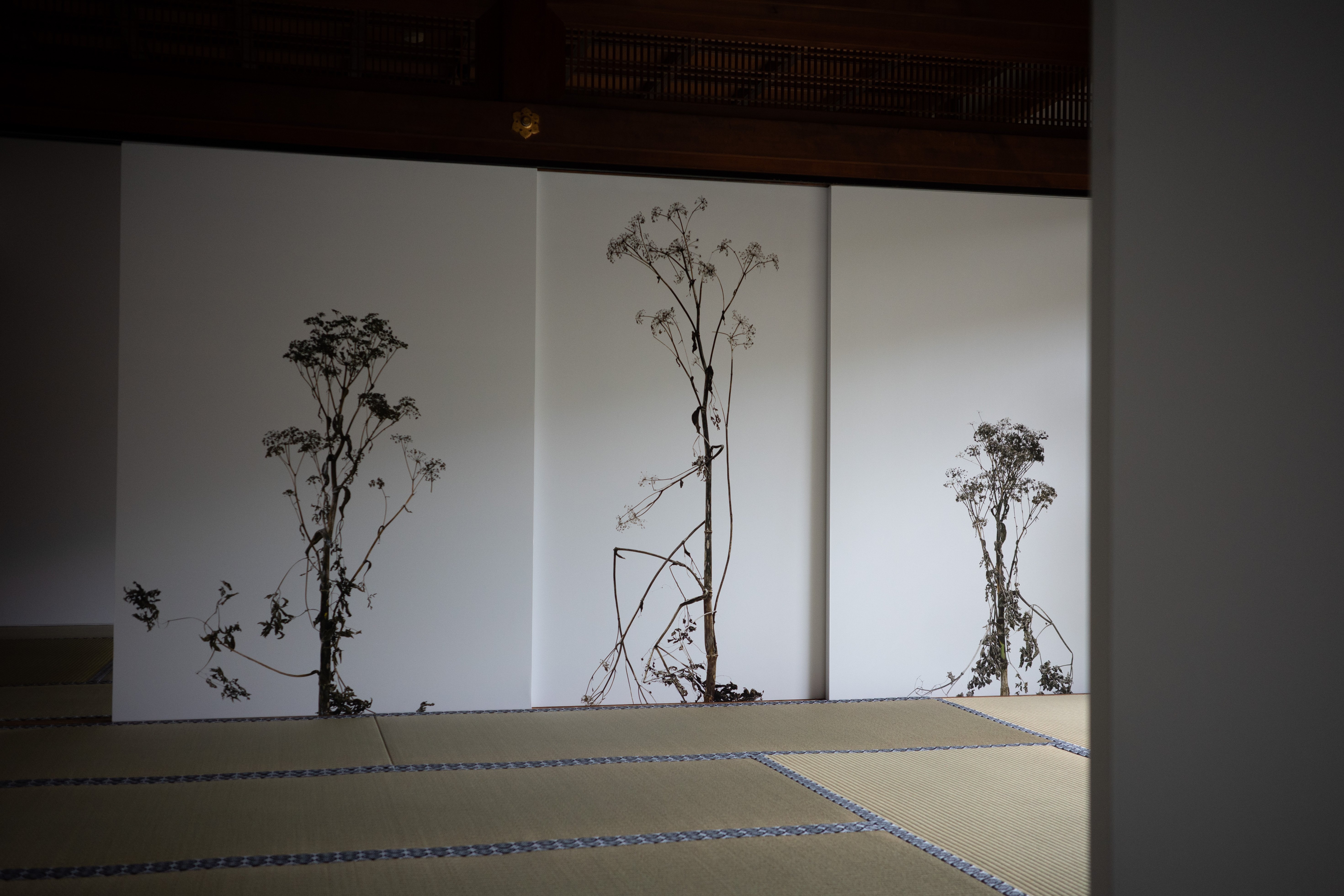 みぞえ画廊 福岡・東京 / 吉村芳生 阿吽の自画像（吽）425/1