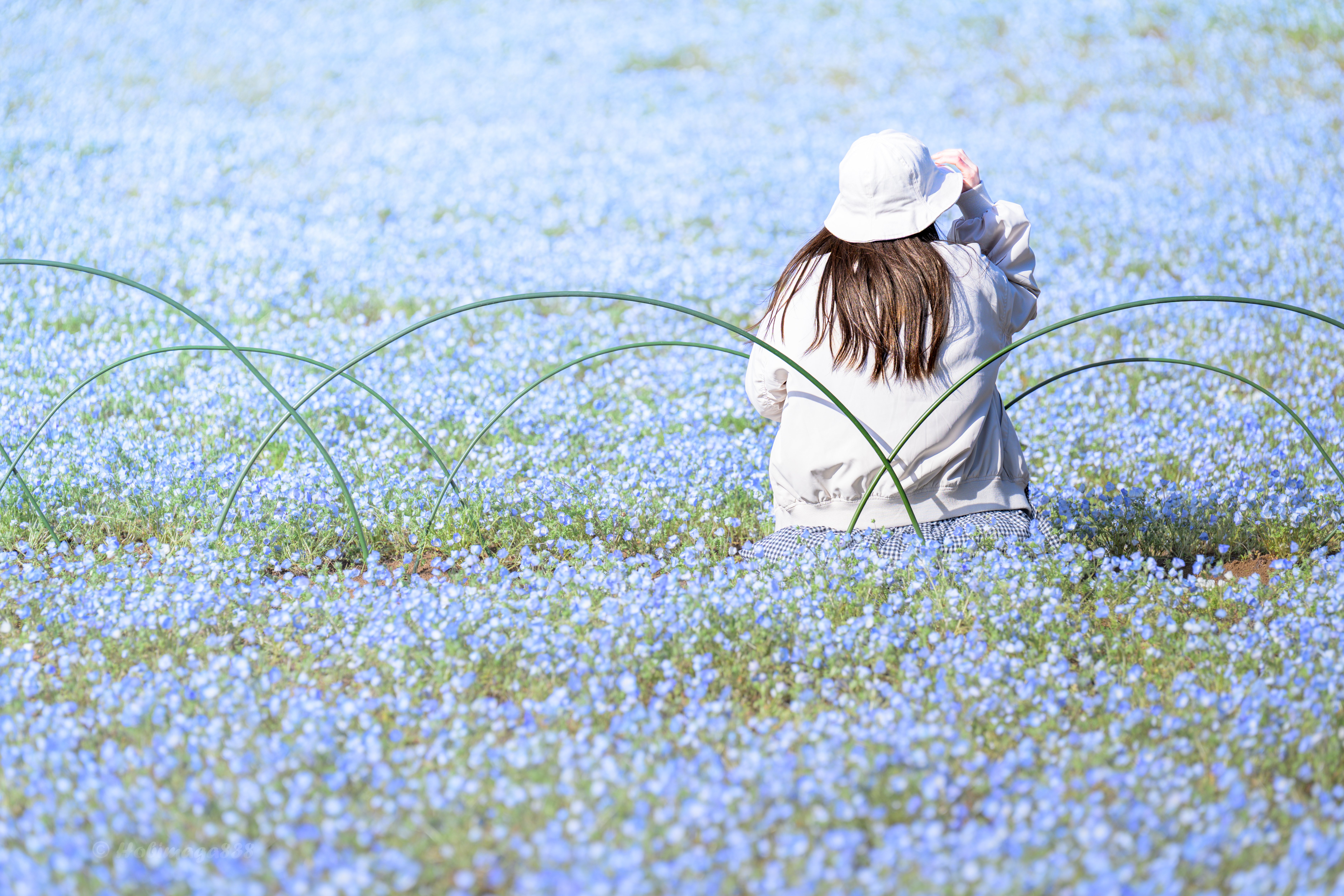 まもなく花咲く春！本格派のNikonデジタル一眼レフカメラに