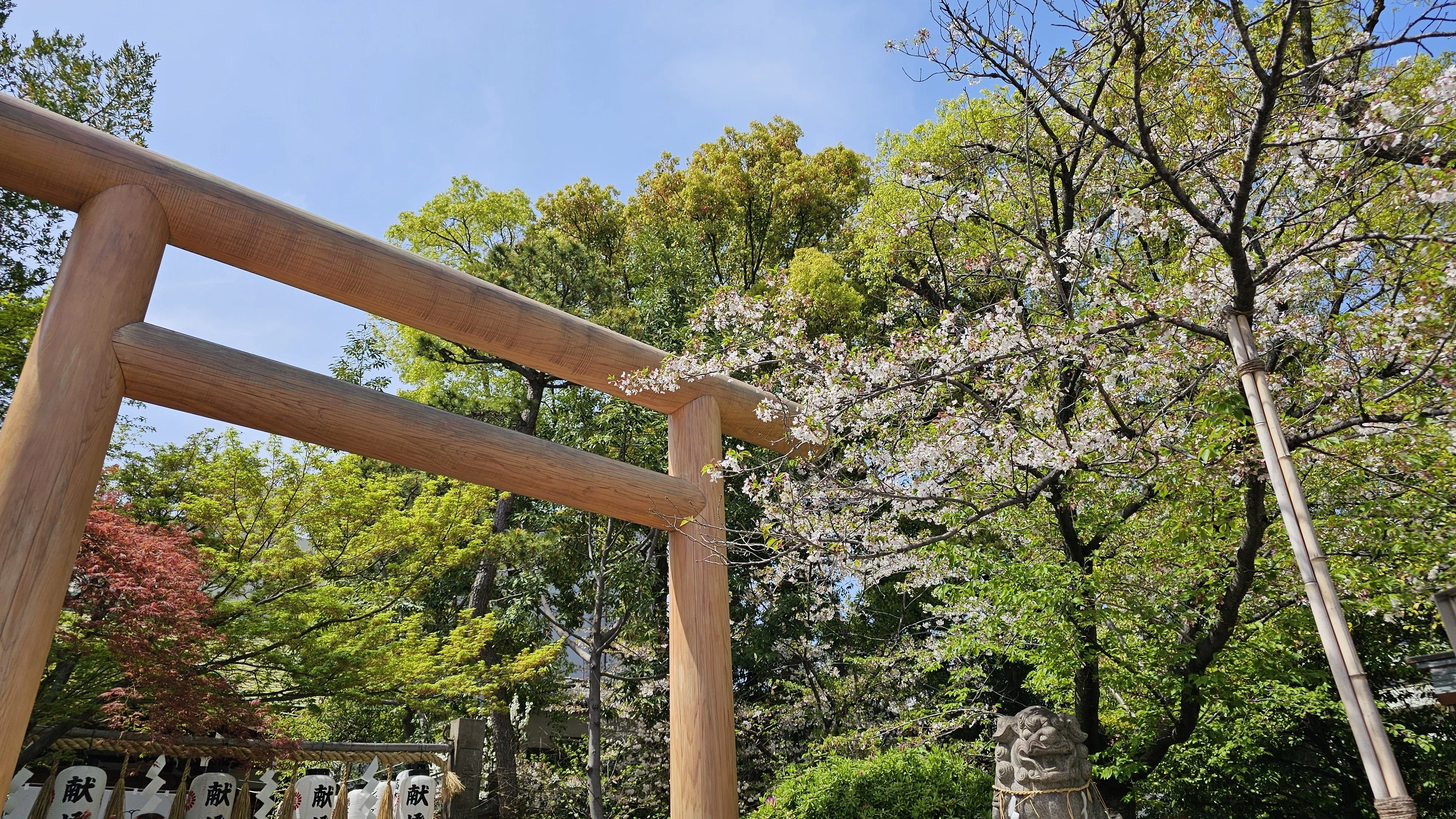 社寺散歩｜堀越神社｜大阪・大阪市｜一生に一度の願いを聞いてくださる