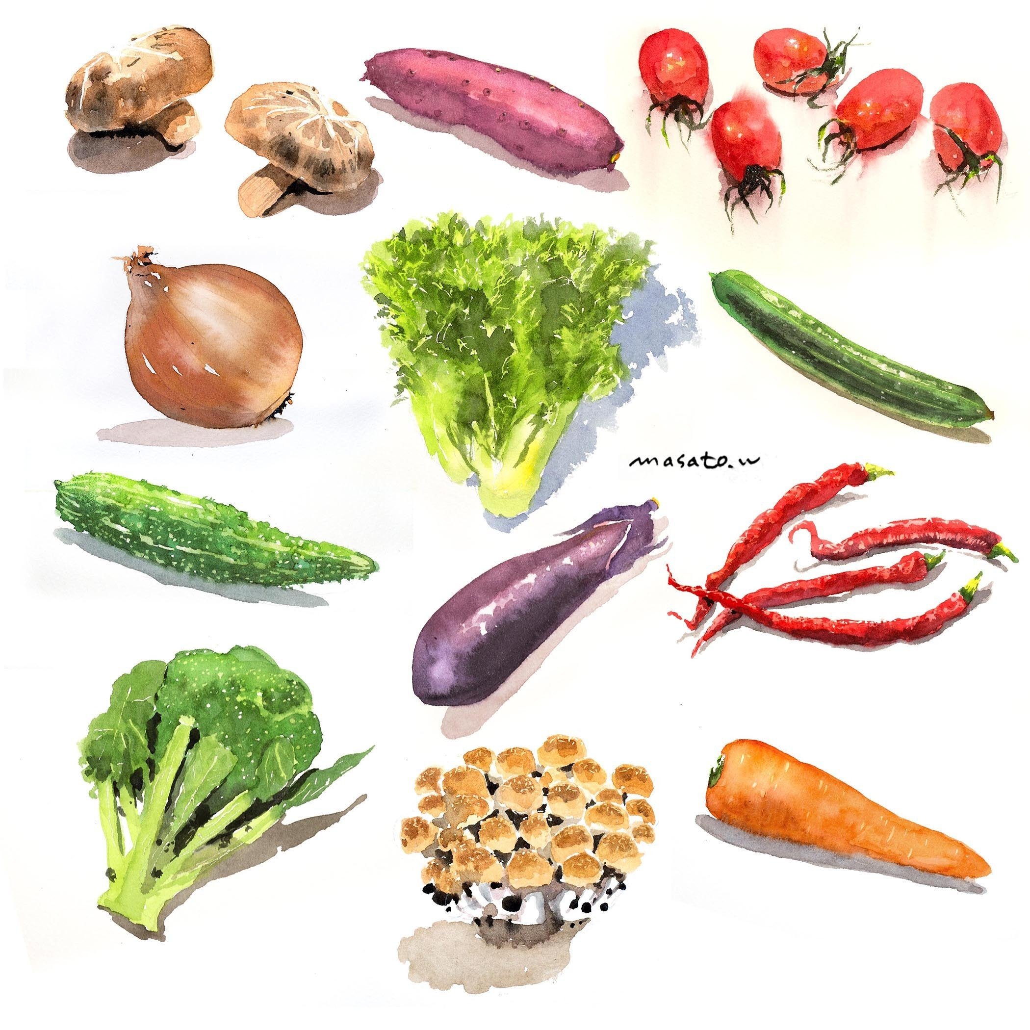 【原画】元気がもらえる野菜の絵　A4 １点もの　顔彩絵の具　ささげ豆 原画】元気がもらえる野菜の絵 A4 1点もの 顔彩絵の具 さつまいも