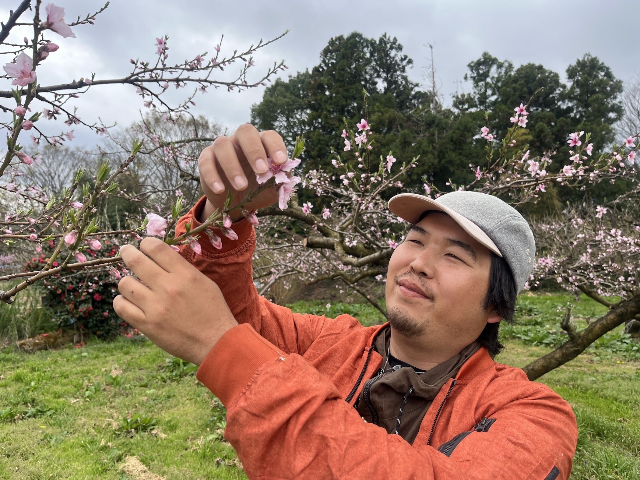 桃の生育レポート＃2025年4月｜クニミノマド オーナー制度