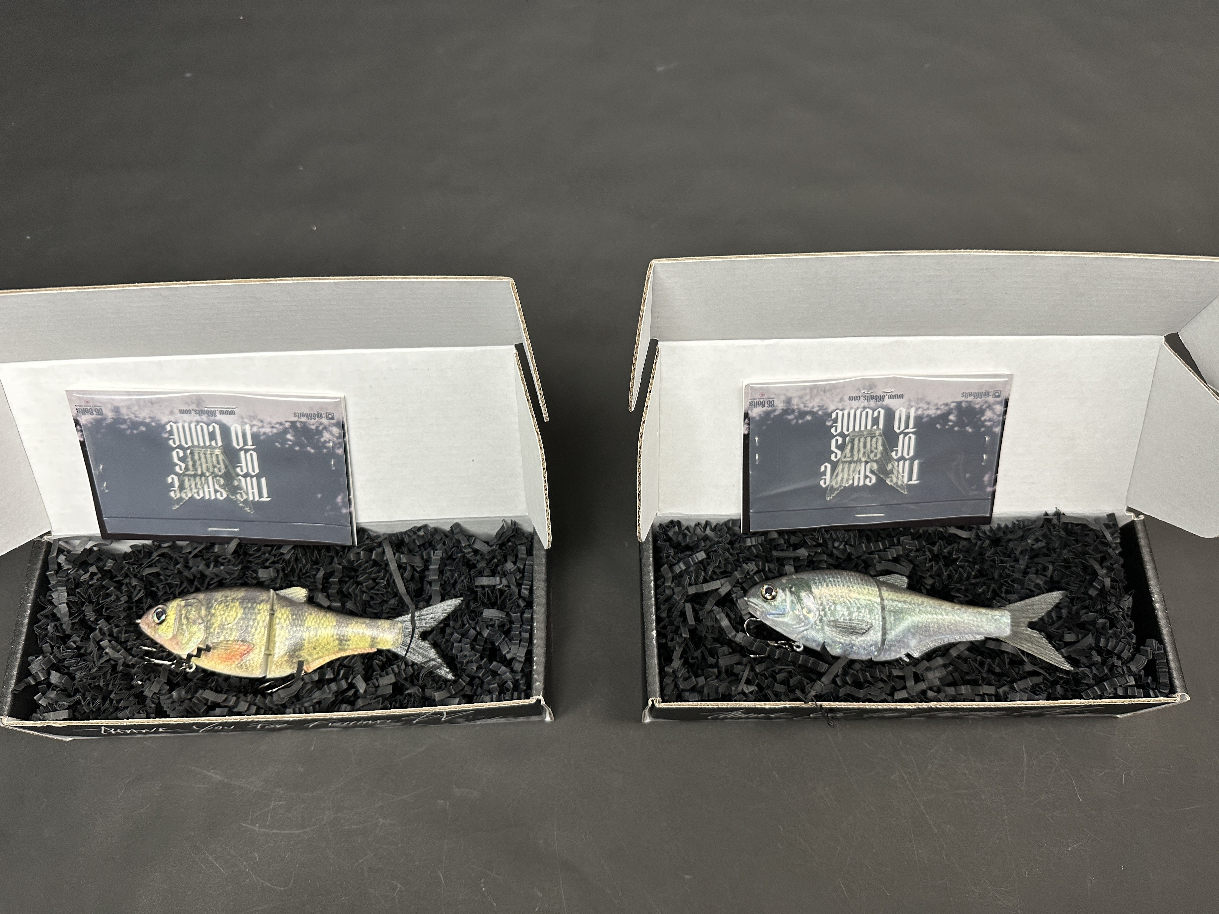 86Baits Doomrider/Sentinel/Failsafeを入荷しました！｜ほその釣具店