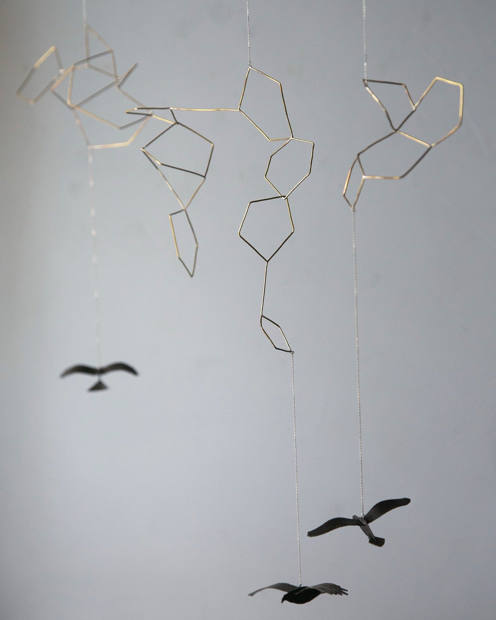 5月17日-6月1日｜谷内亮太『時空の欠片と渡鳥展』｜恵文社 | 本