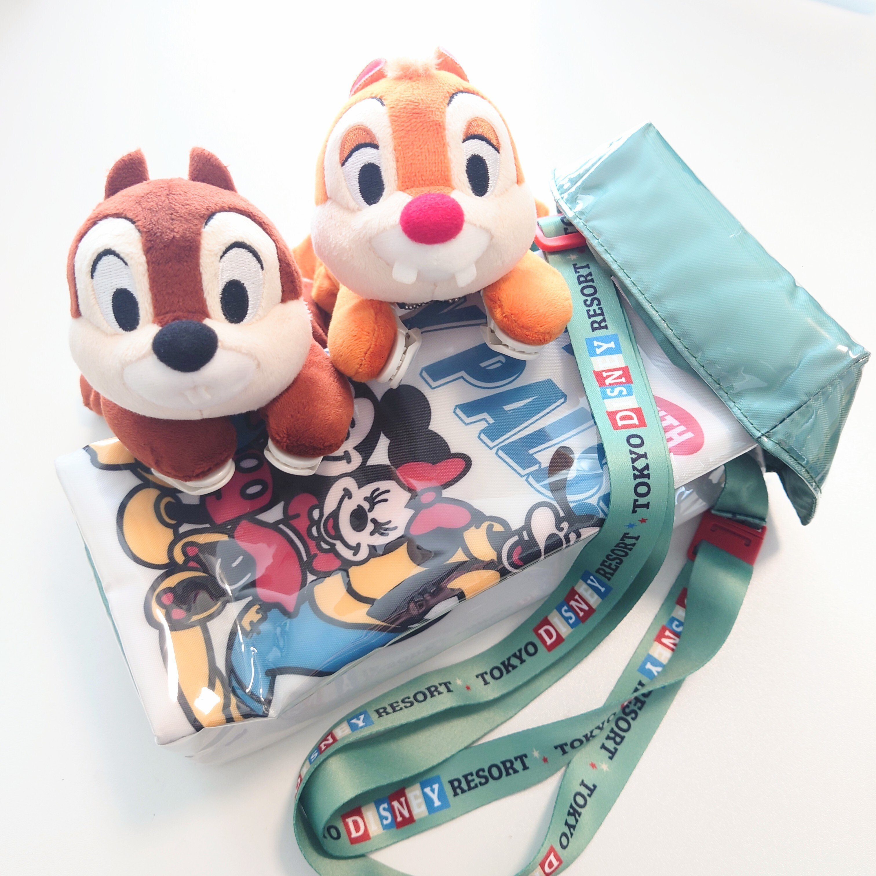 ぼっちディズニーのスヽメ｜suu