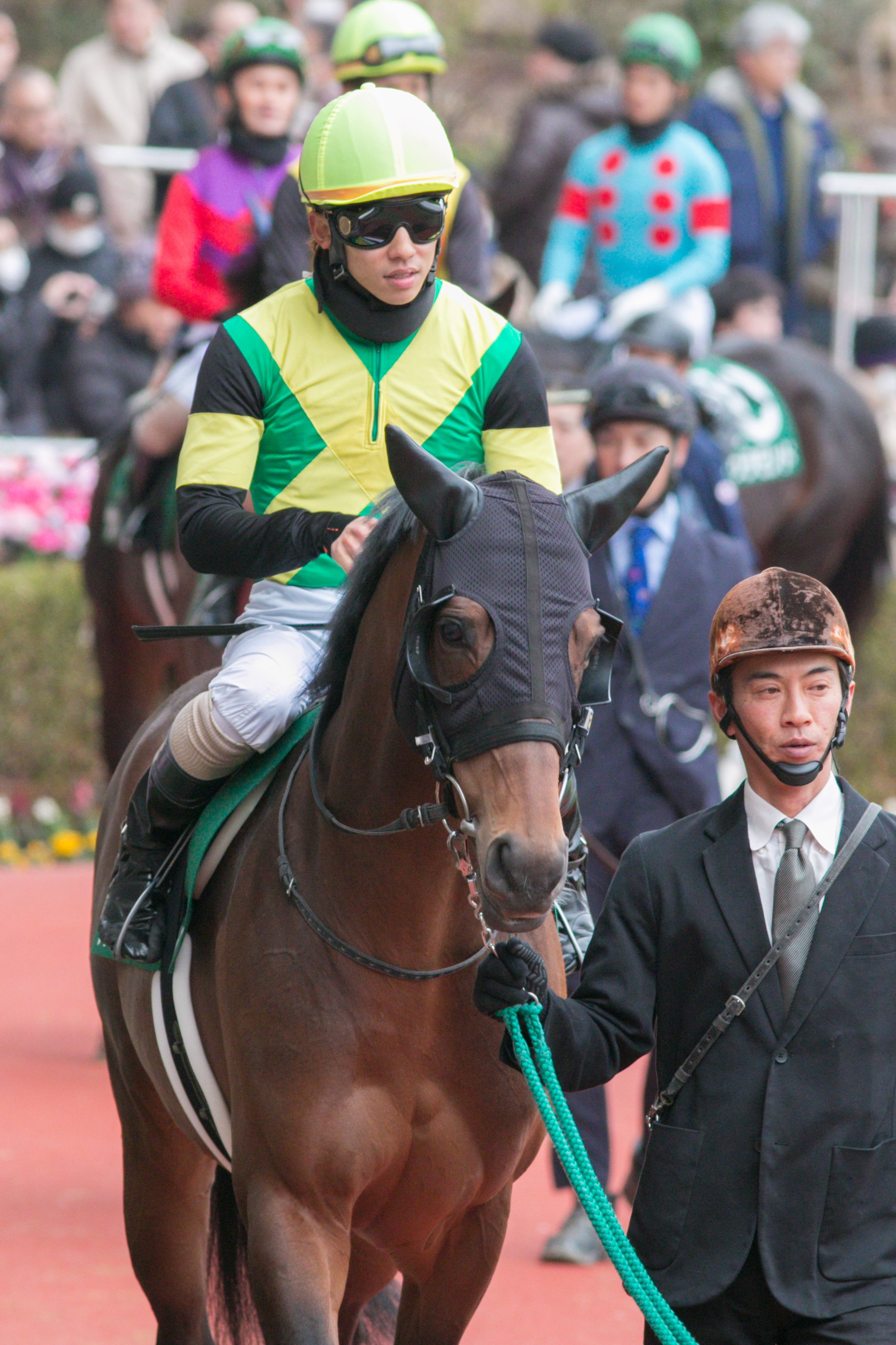 第27回中山グランドジャンプ(J-GⅠ) 各馬雑観｜ライシャワー