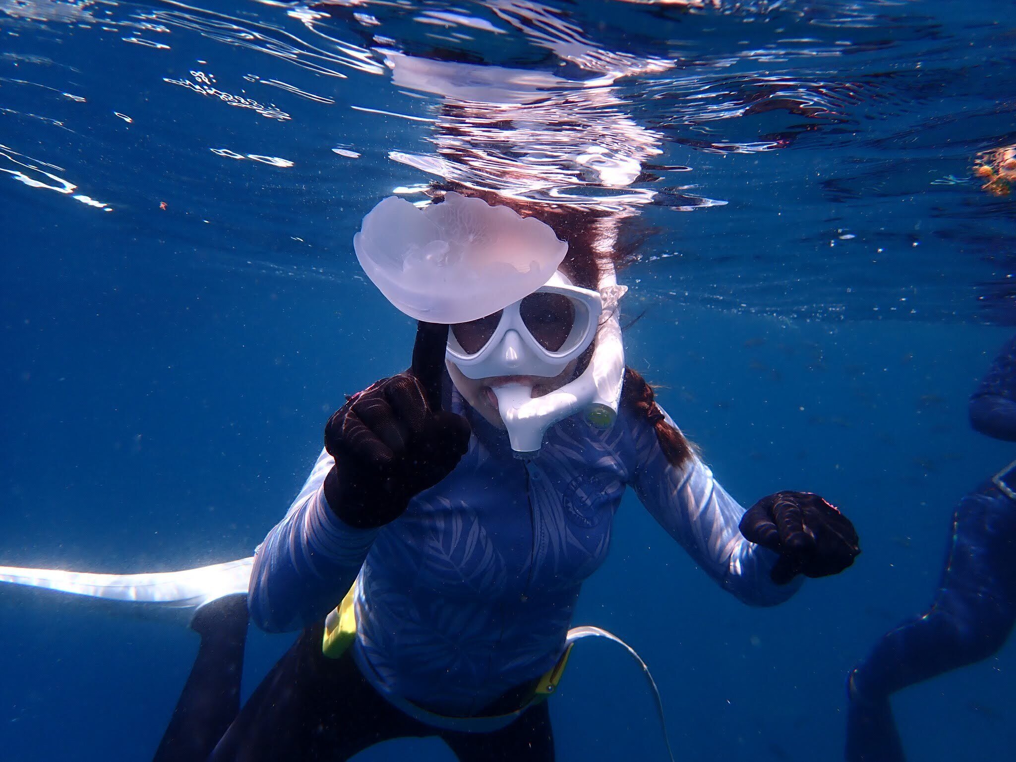 実は間違ってるかも？ウェットスーツの選び方について｜フルオーダー