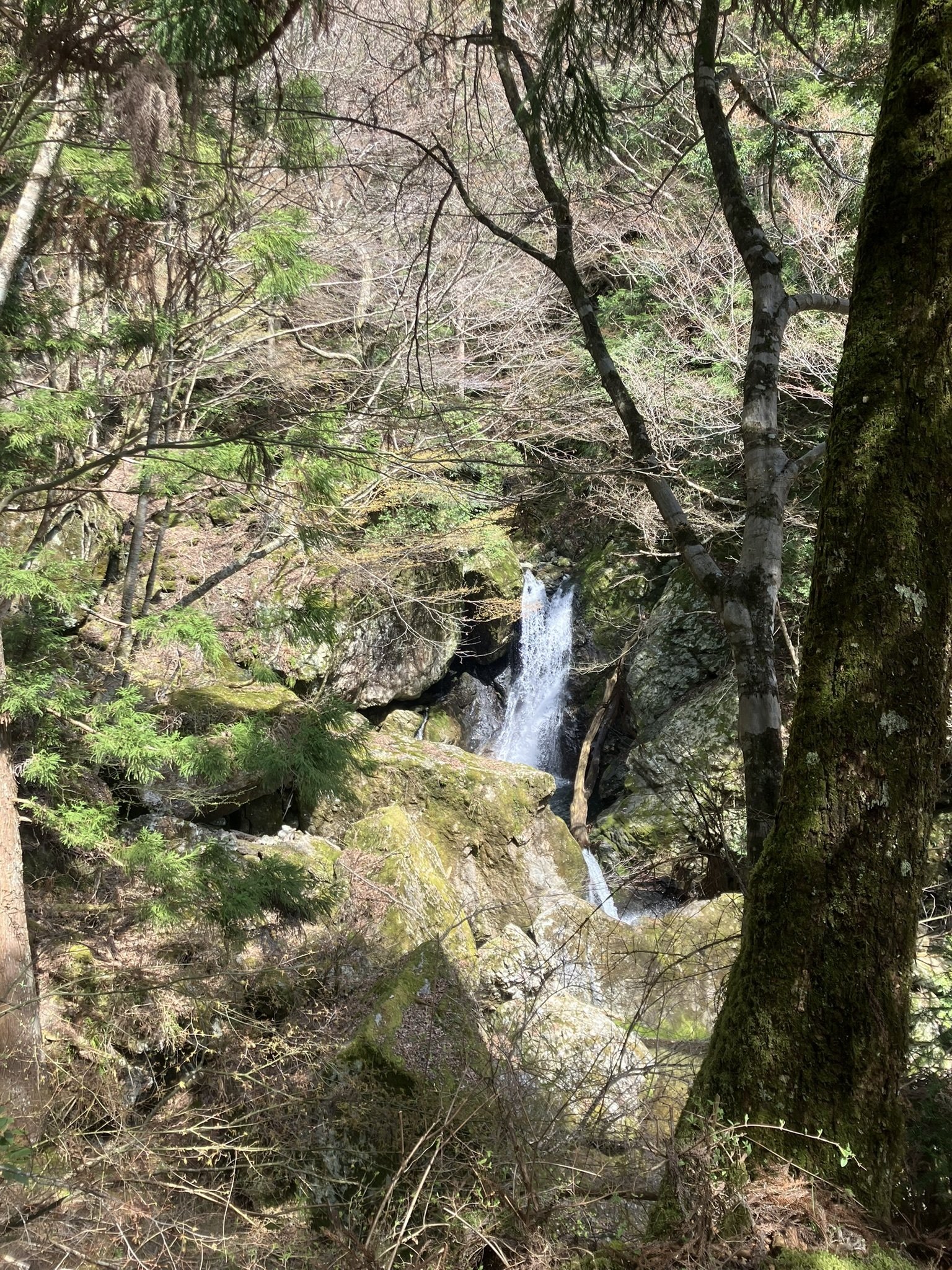 Shinji Kurihara | 【 日本で最も美しい村 新庄村 】 📍 岡山 新