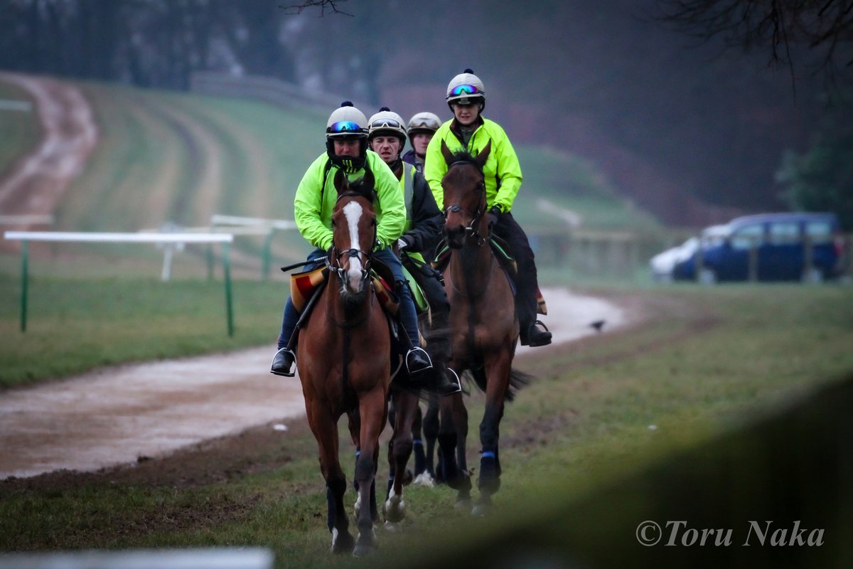競馬の聖地 Newmarketを綴る vol.2｜TORU