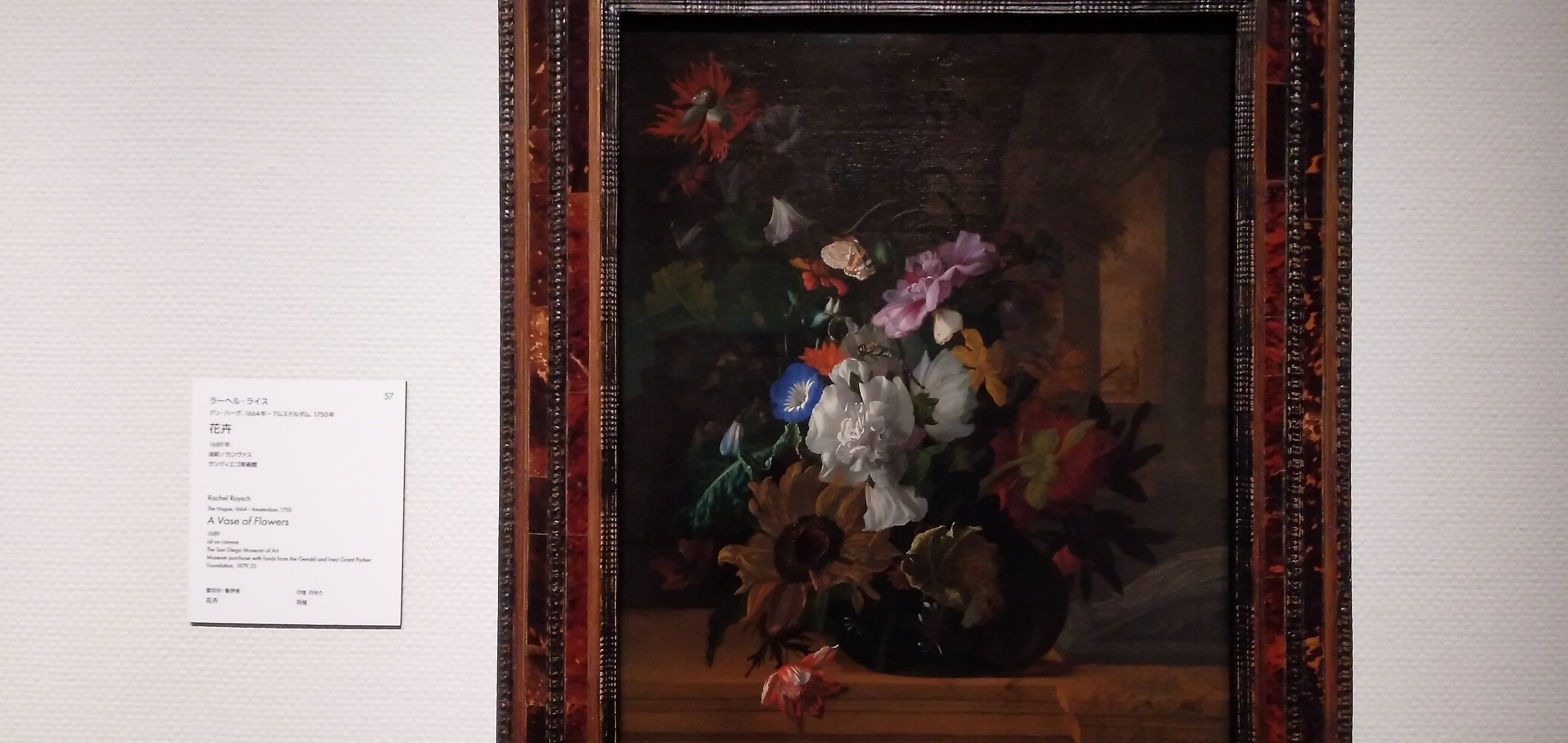 国立西洋美術館 19 「西洋絵画、どこから見るか？―ルネサンスから