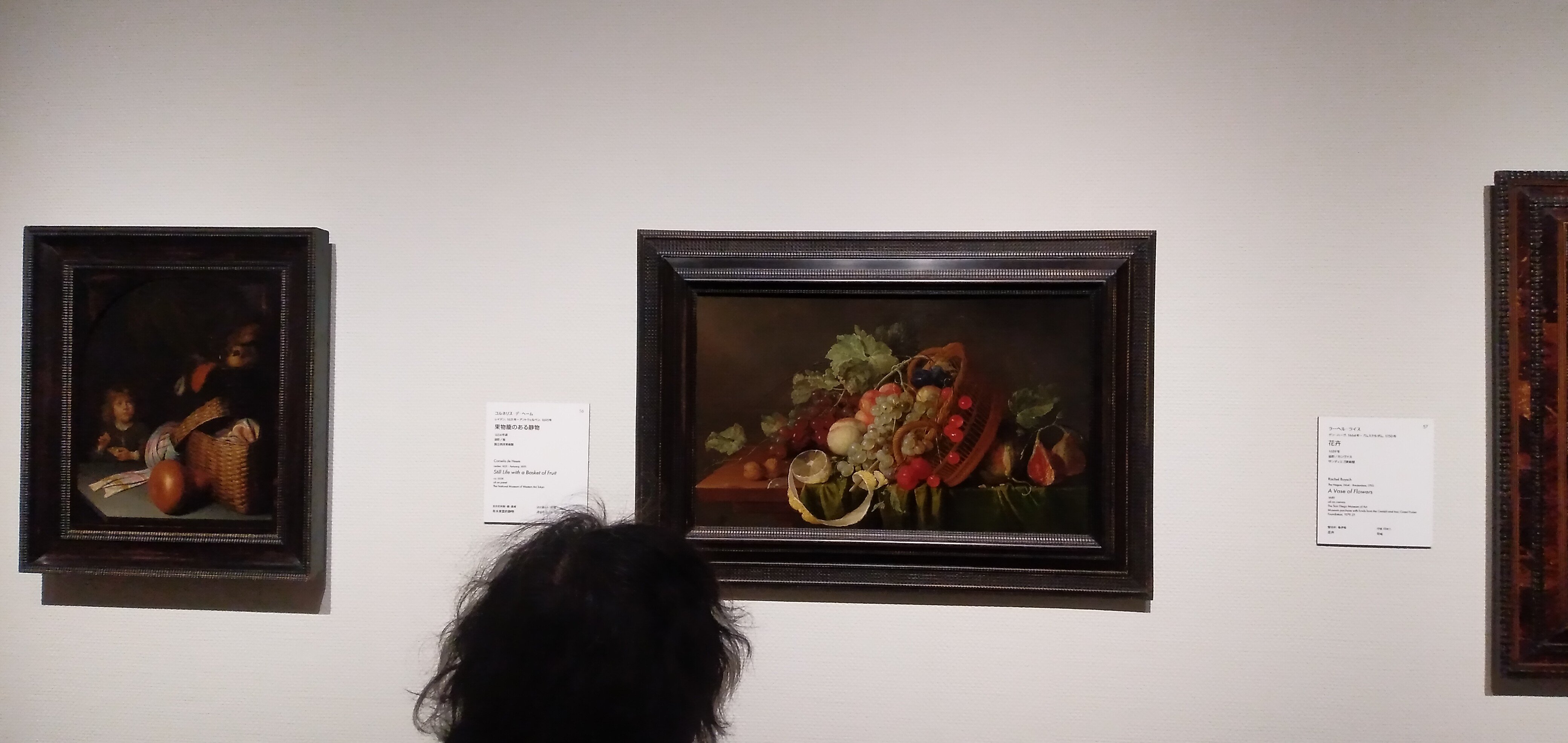 国立西洋美術館 19 「西洋絵画、どこから見るか？―ルネサンスから