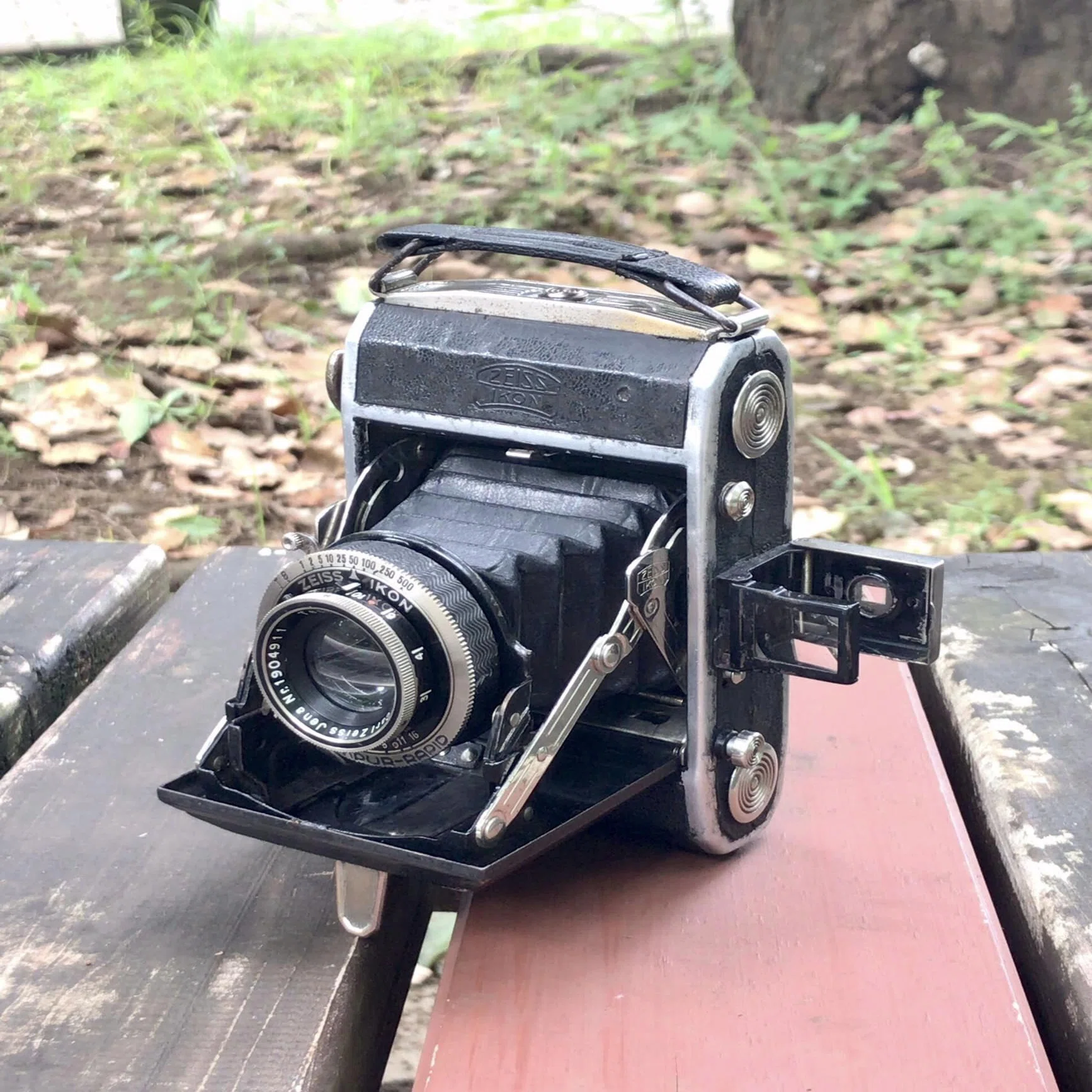 中判フィルムで撮る樹木, Ikonta 520｜光画日々想