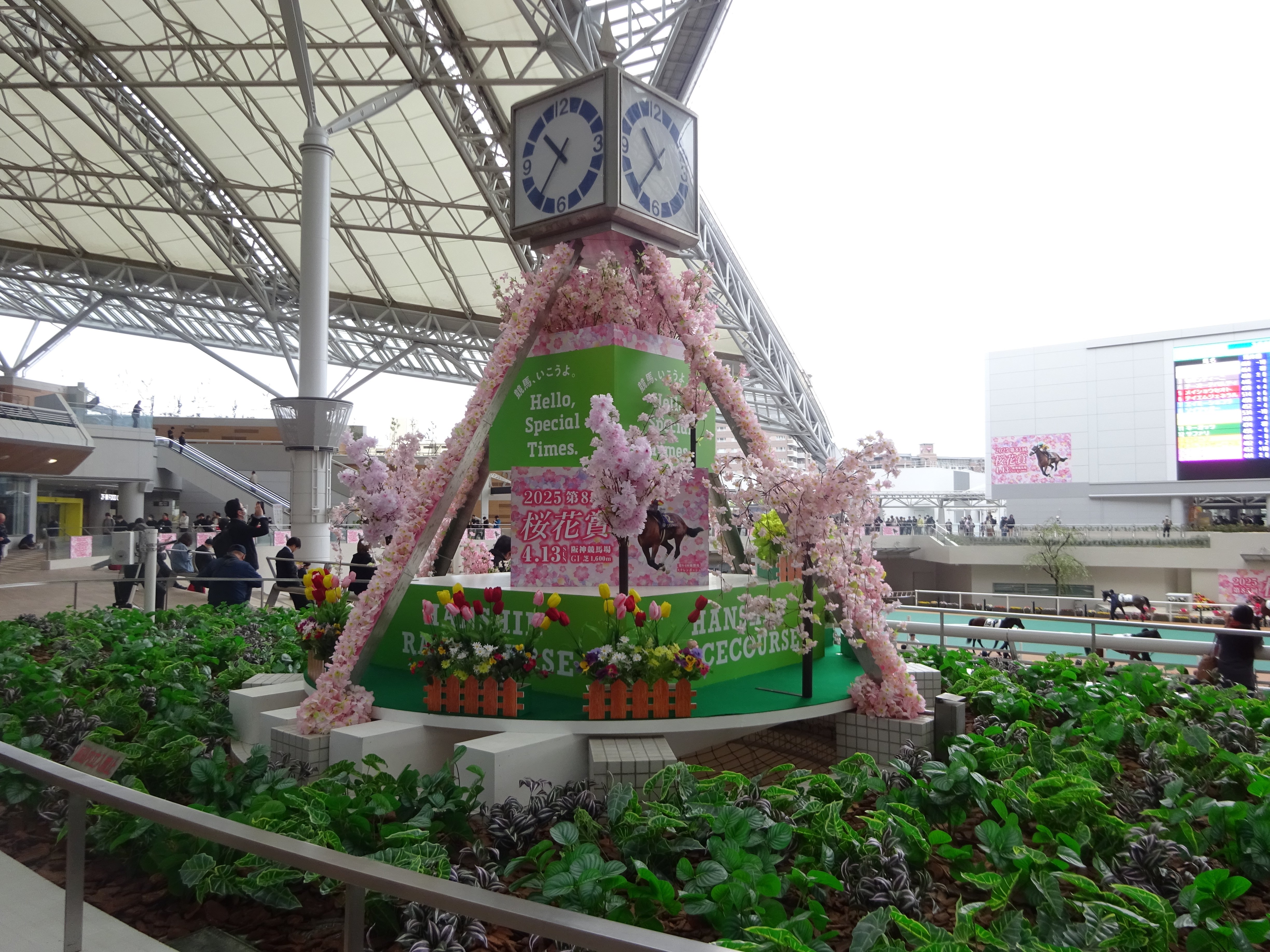 2025関西遠征1 桜花賞、花散らしでも桜満開｜サイレンスキャット