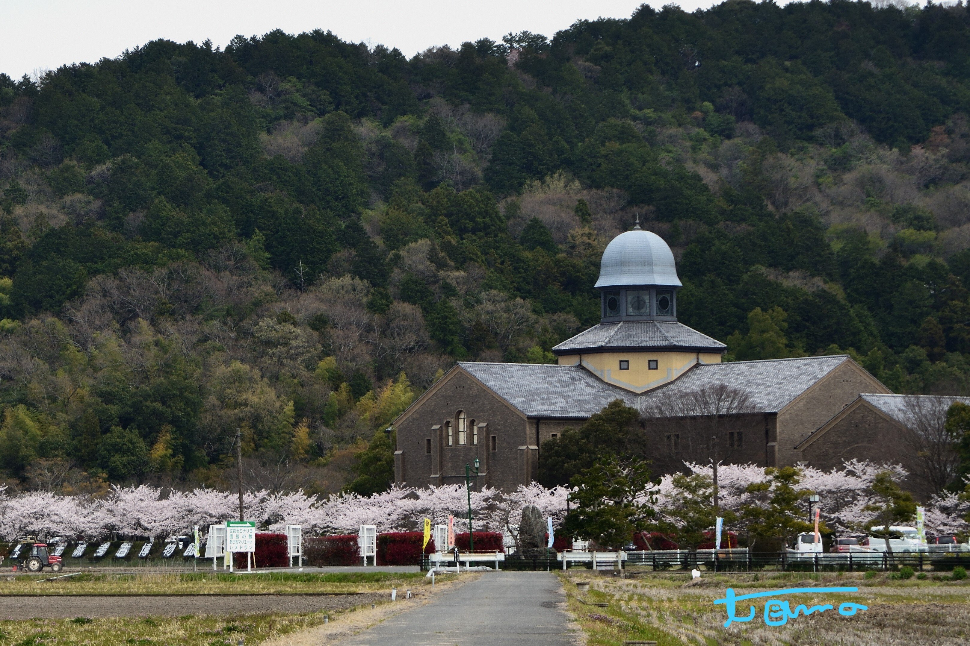 残っていて欲しかった城No.1 安土城｜tama：いきいきした写真を