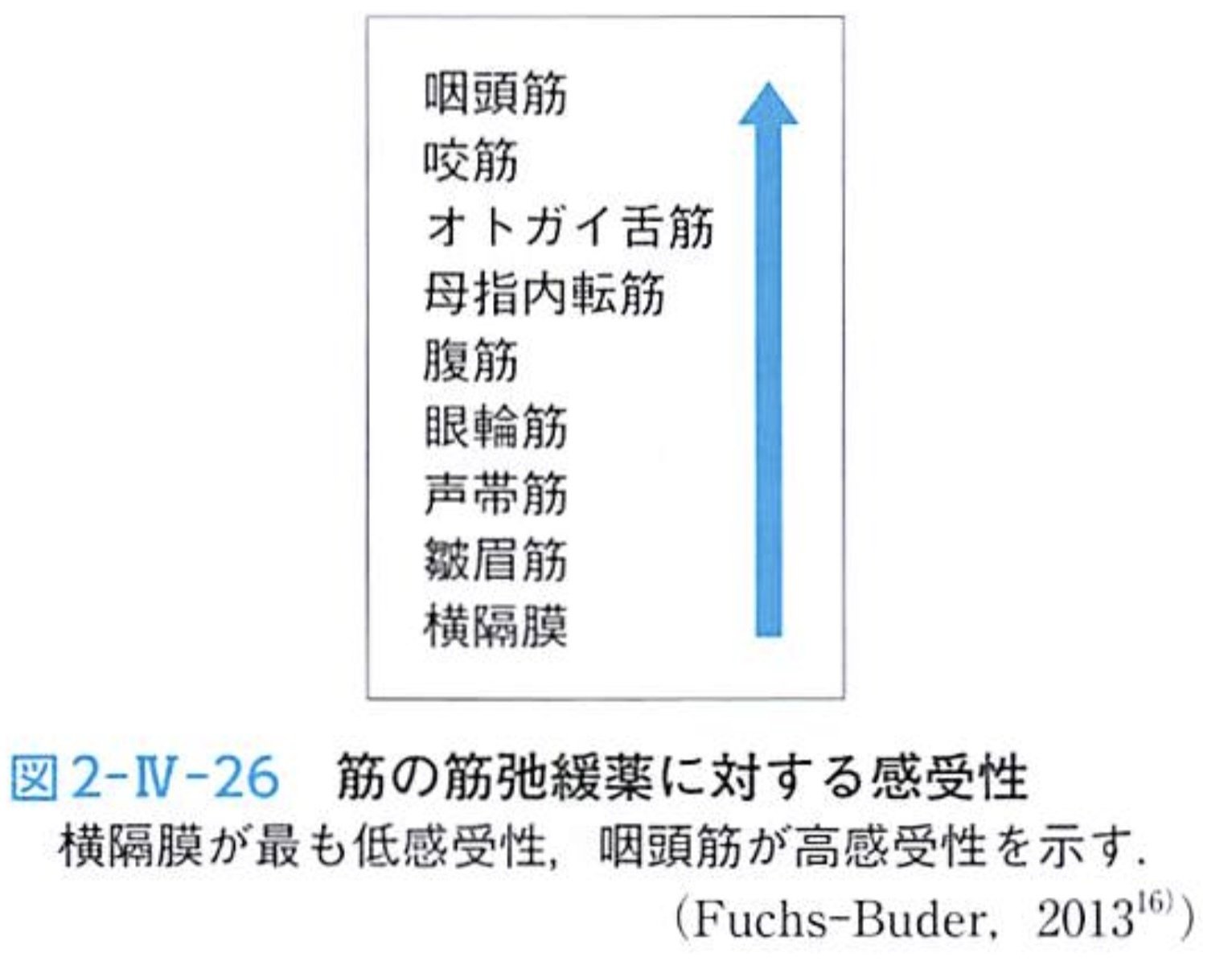 【未裁断】国試の賢人　口外・麻酔・症候群 再入荷！】 歯科麻酔学 | 歯科国試ドットコム 語学・辞書・学習