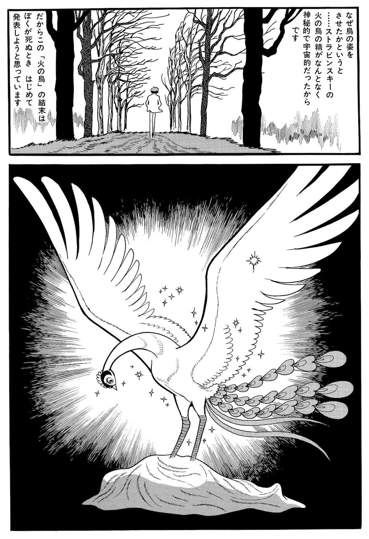 火の鳥展」最高すぎた。｜手塚治虫全巻チャンネル【某】