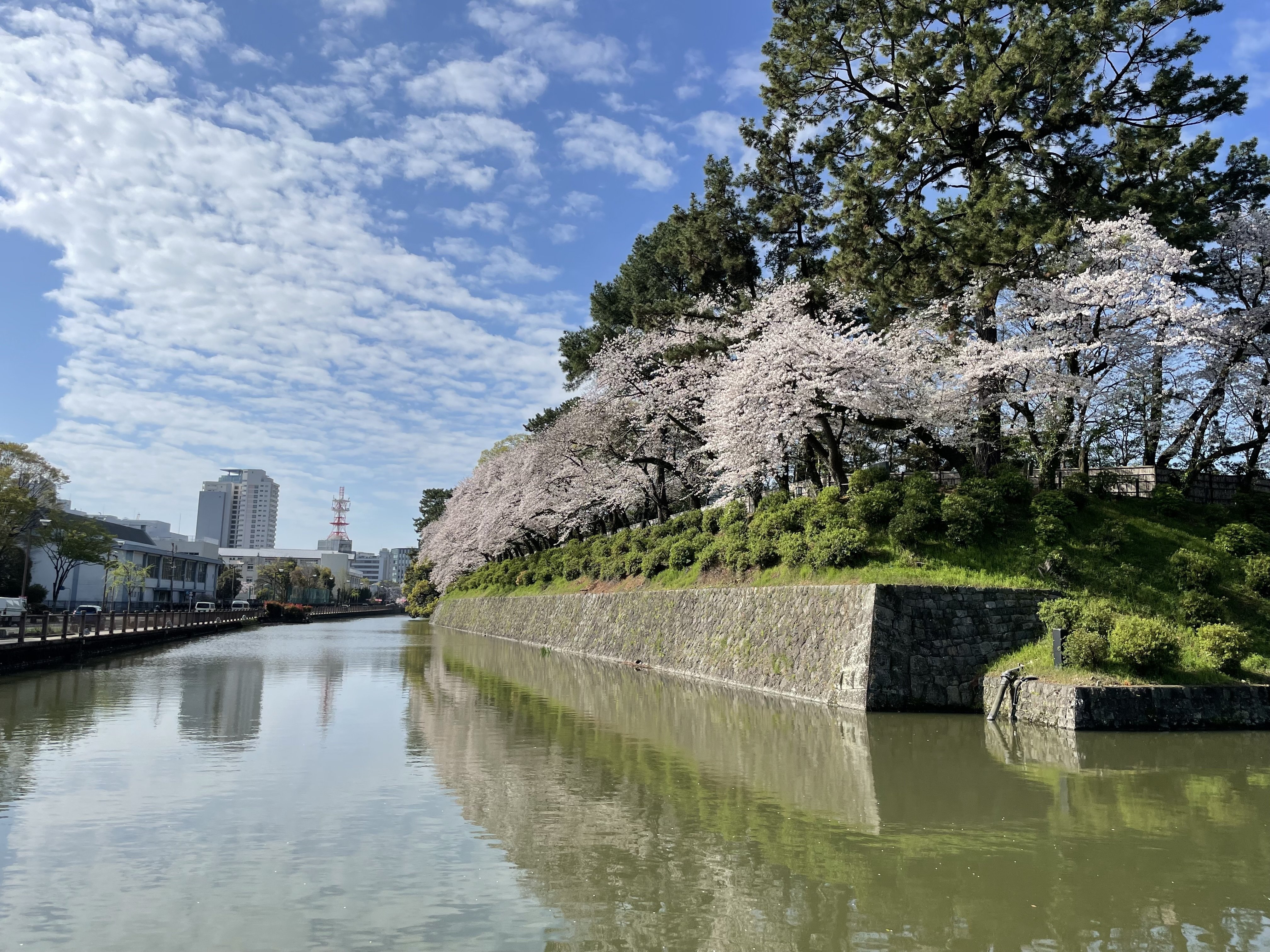 徳川家康とSANAA【駿府城＆静岡市歴史博物館】静岡県静岡市
