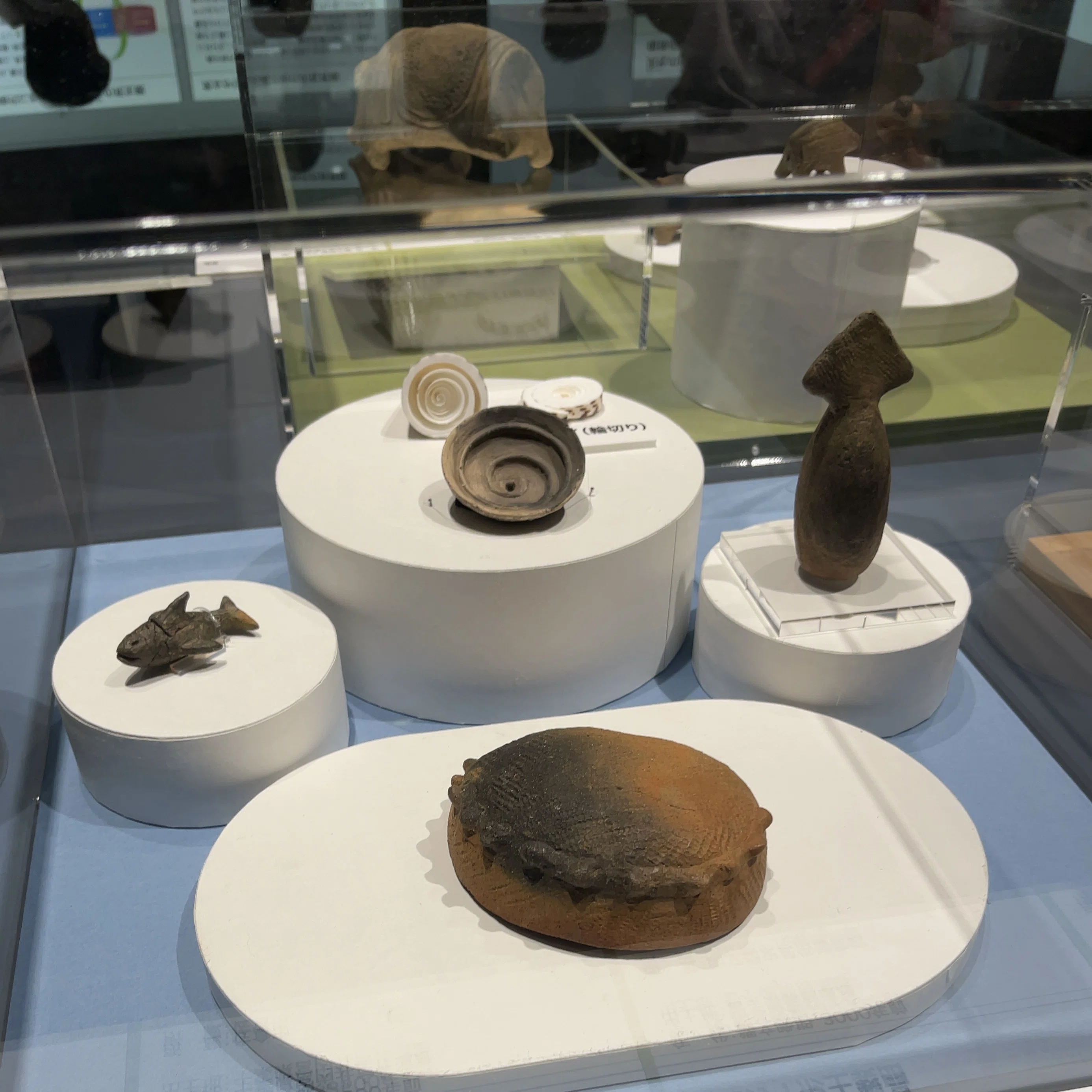 縄文時代、すごくね？【上野・古代DNA】｜モモナ