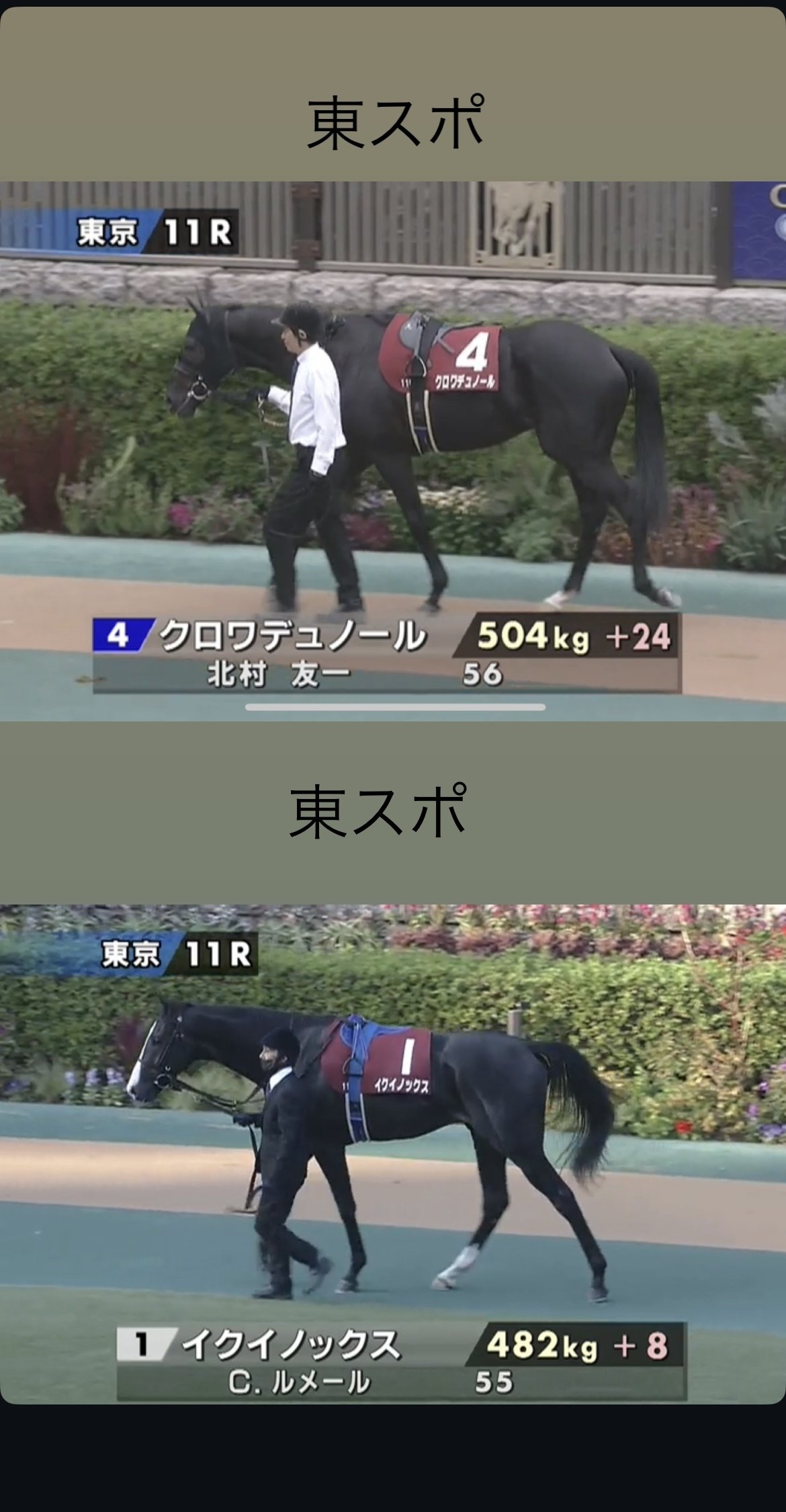 JRA 阪神競馬場　クロワデュノール　イクイノックス　ディープインパクト 新スターは生まれるか クロワデュノール、3歳馬の中心 - 日本