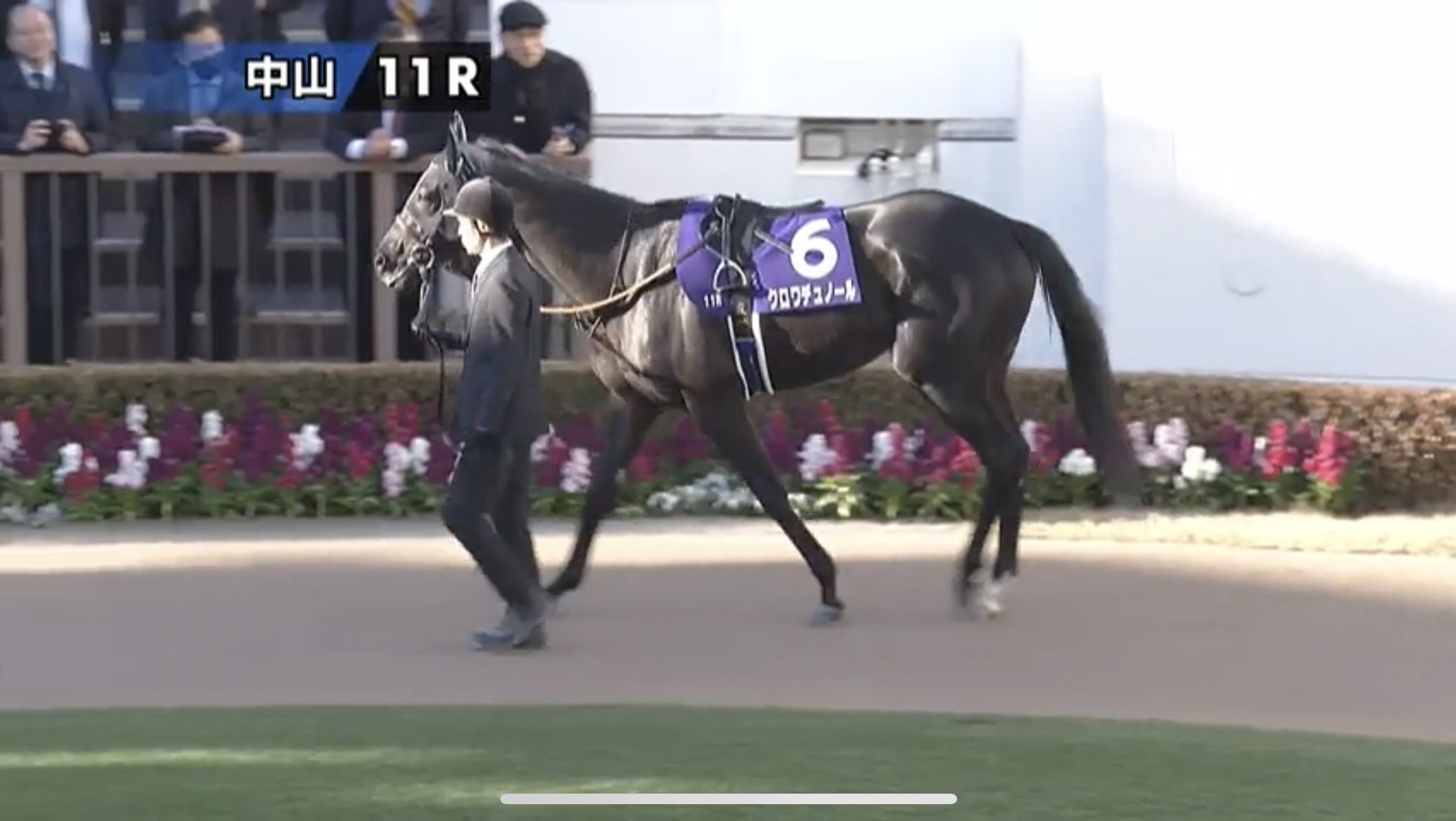 JRA 阪神競馬場　クロワデュノール　イクイノックス　ディープインパクト　帯封 キタサンブラック産駒の超新星にX衝撃 新馬戦の破格ラップに