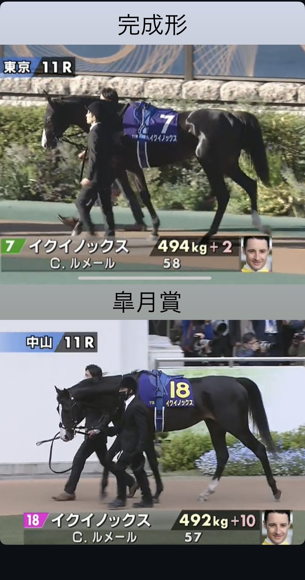 JRA 阪神競馬場　クロワデュノール　イクイノックス　ディープインパクト 皐月賞】クロワデュノール98点！規格外のイクイノックス級馬体