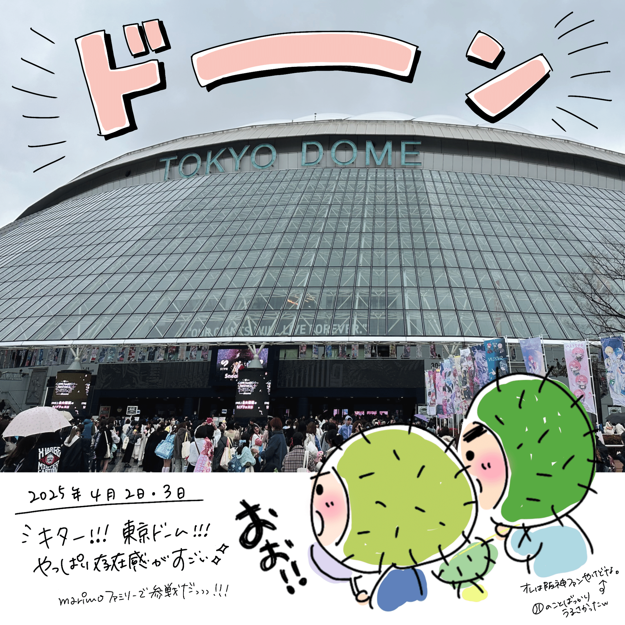 すとふぇす」を観て感じたSTPRを推したいと感じるエモいポイント