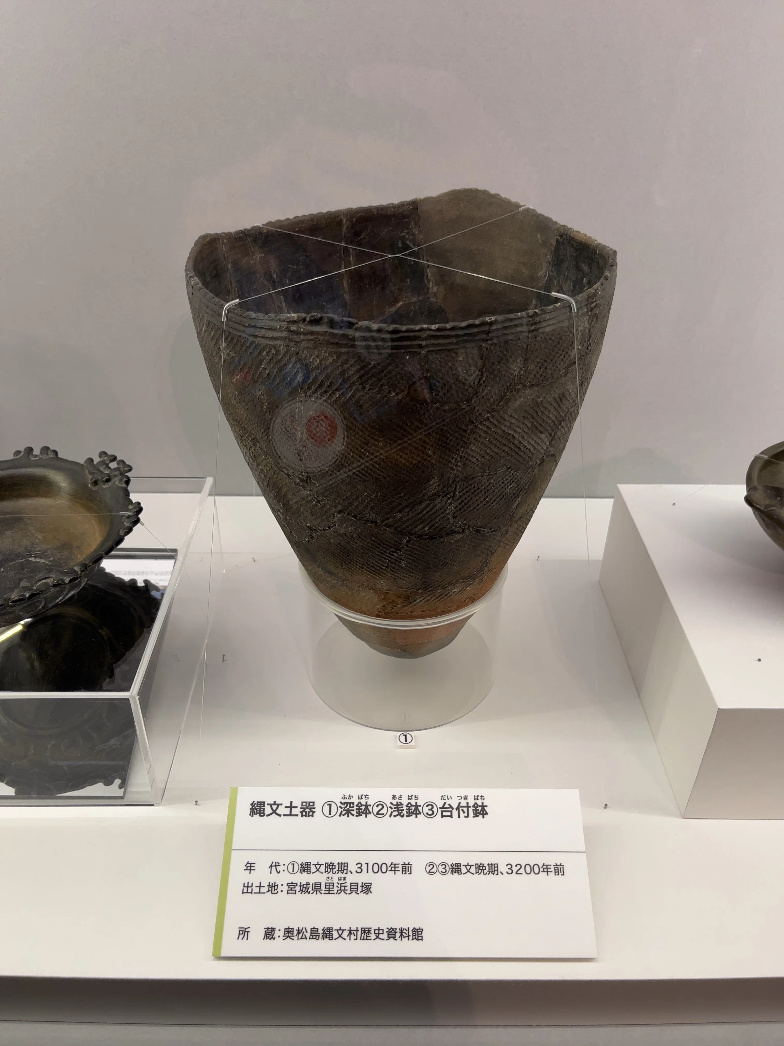 縄文時代、すごくね？【上野・古代DNA】｜モモナ