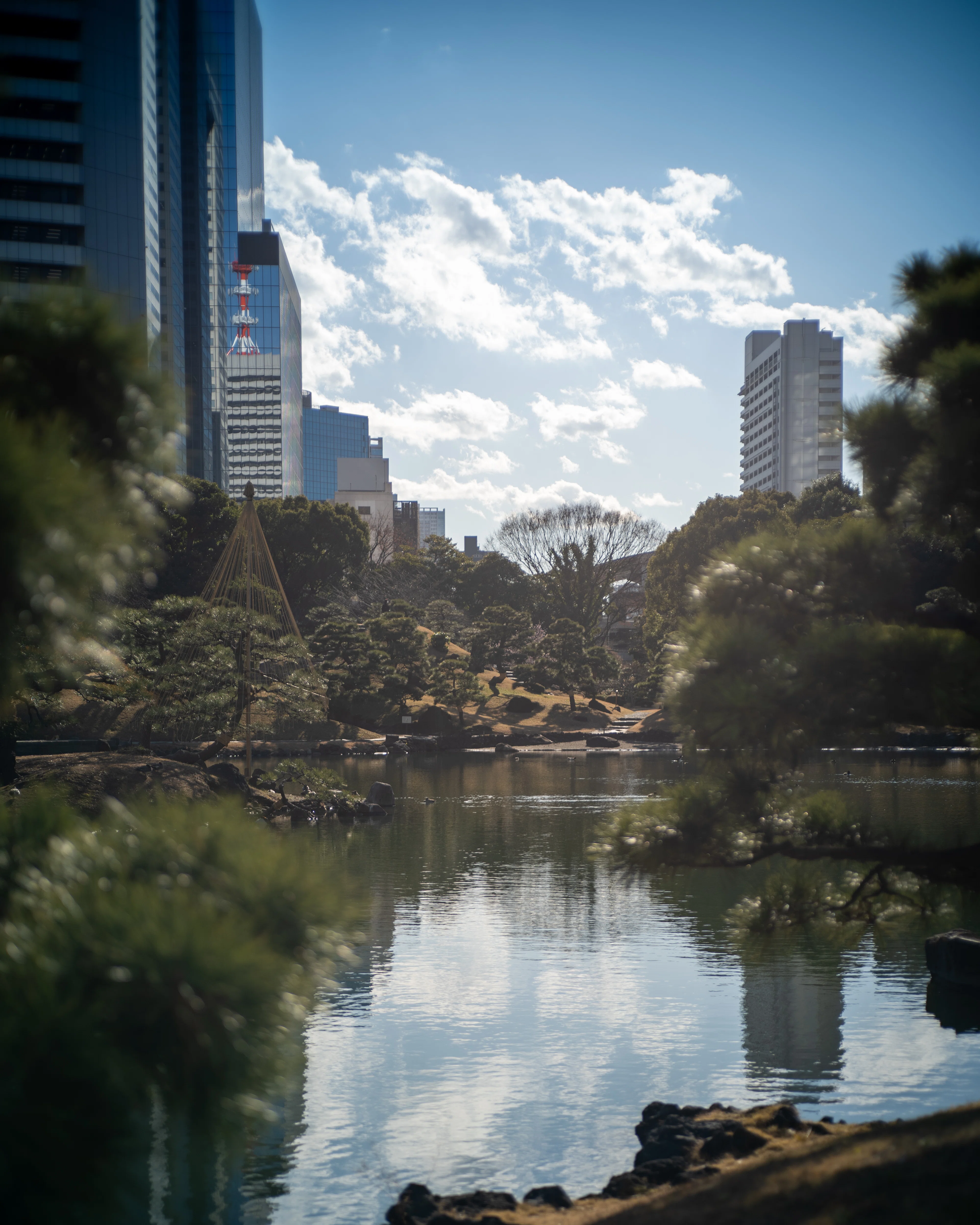 SIGMA FPとお似合いな TTartisan 50mm f2【MF入門レンズ】｜茂木 隼人