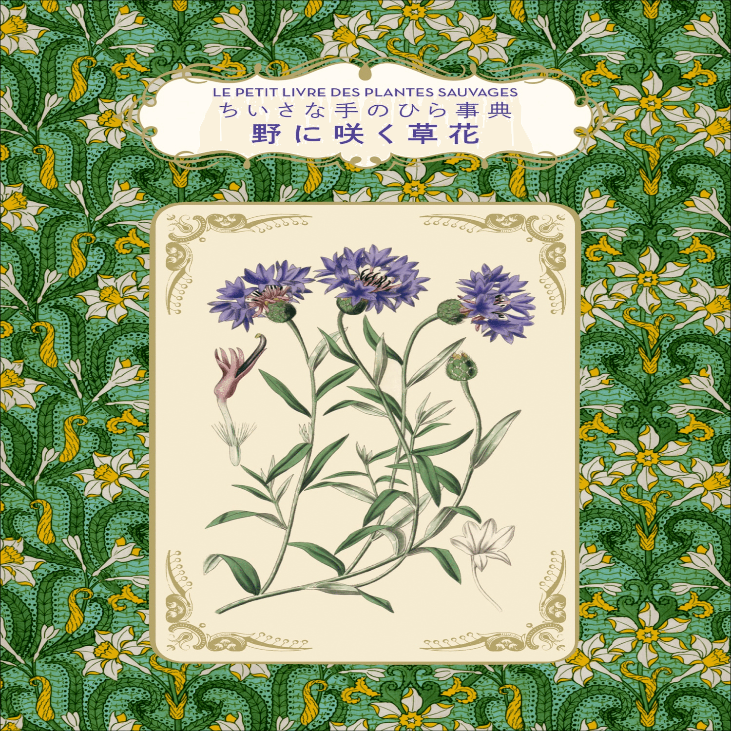 シリーズ累計26万部!!】大人気「ちいさな手のひら事典」シリーズ第17弾