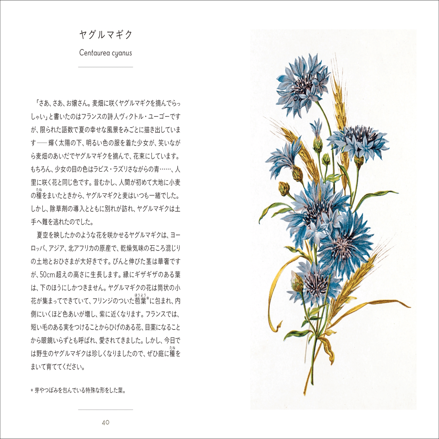 シリーズ累計26万部!!】大人気「ちいさな手のひら事典」シリーズ第17弾