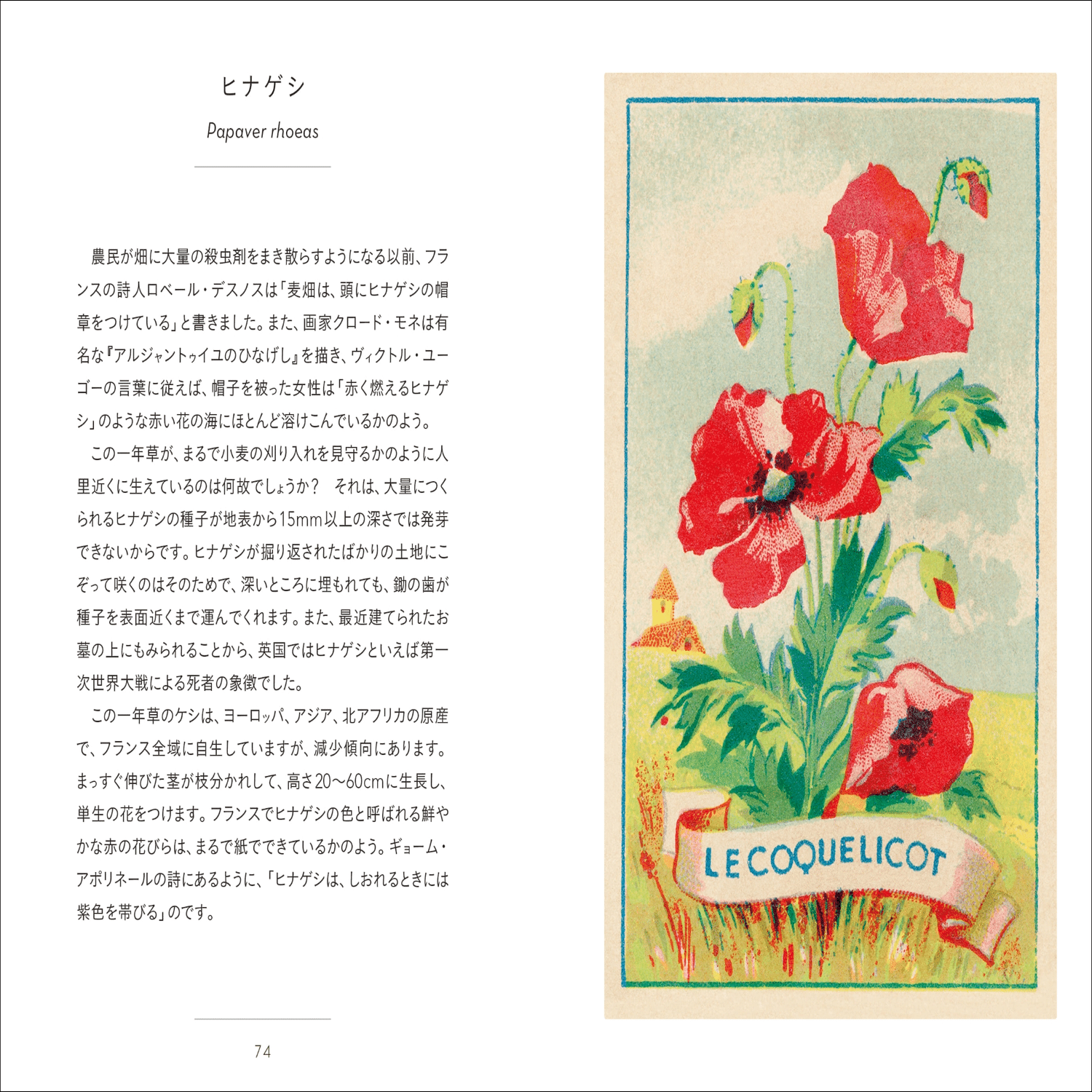 シリーズ累計26万部!!】大人気「ちいさな手のひら事典」シリーズ第17弾