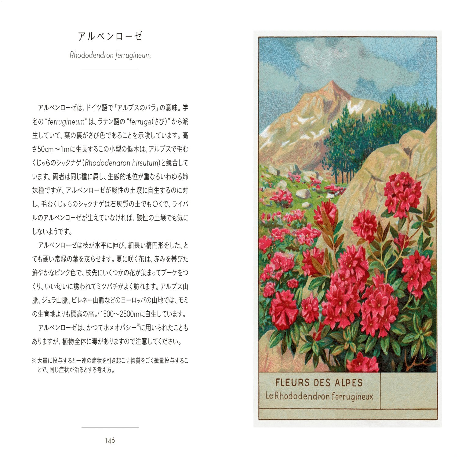 シリーズ累計26万部!!】大人気「ちいさな手のひら事典」シリーズ第17弾