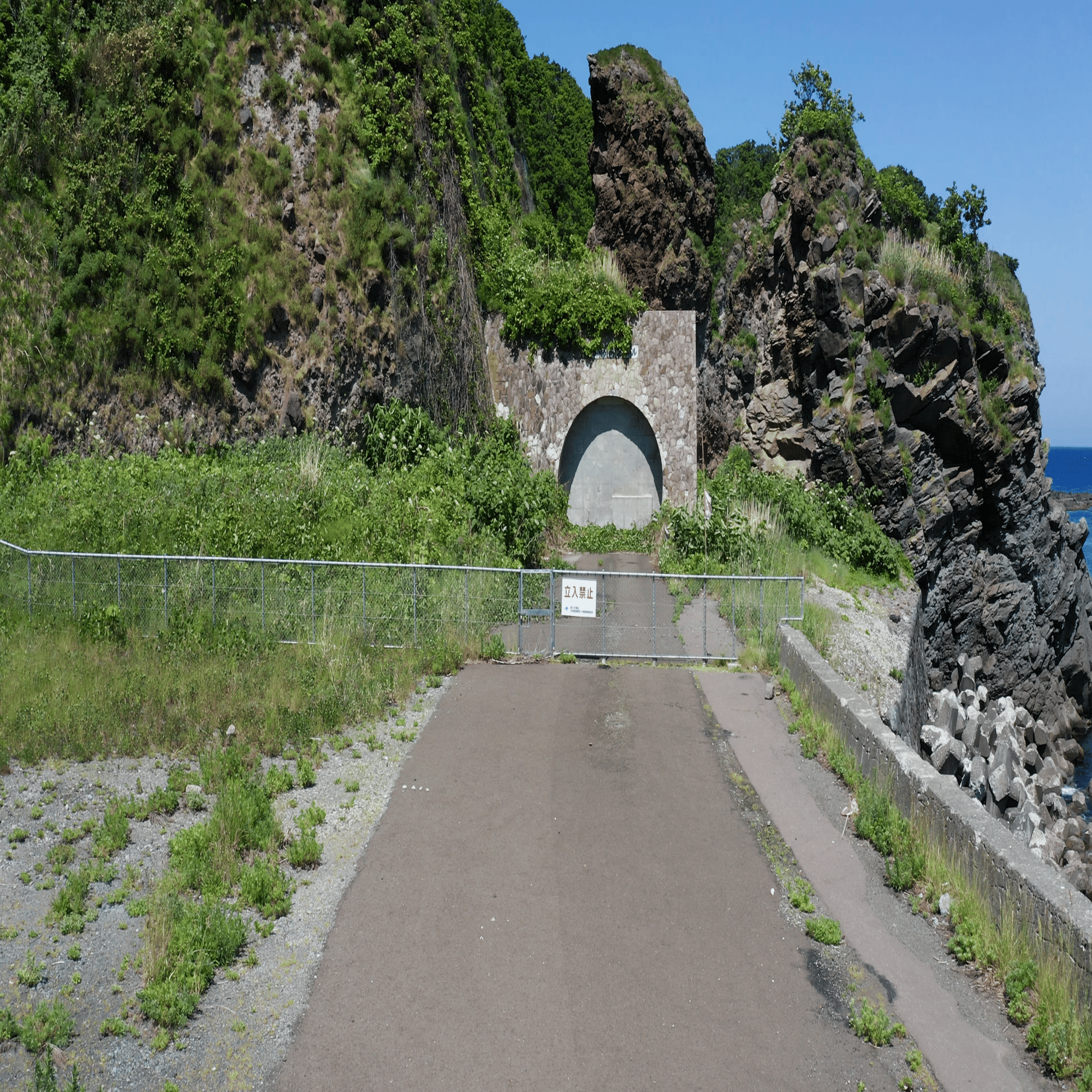 「地中海への道」　セルジュ・ルゴン 　　　　　　　　　　　　P20号 maxresdefault.jpg