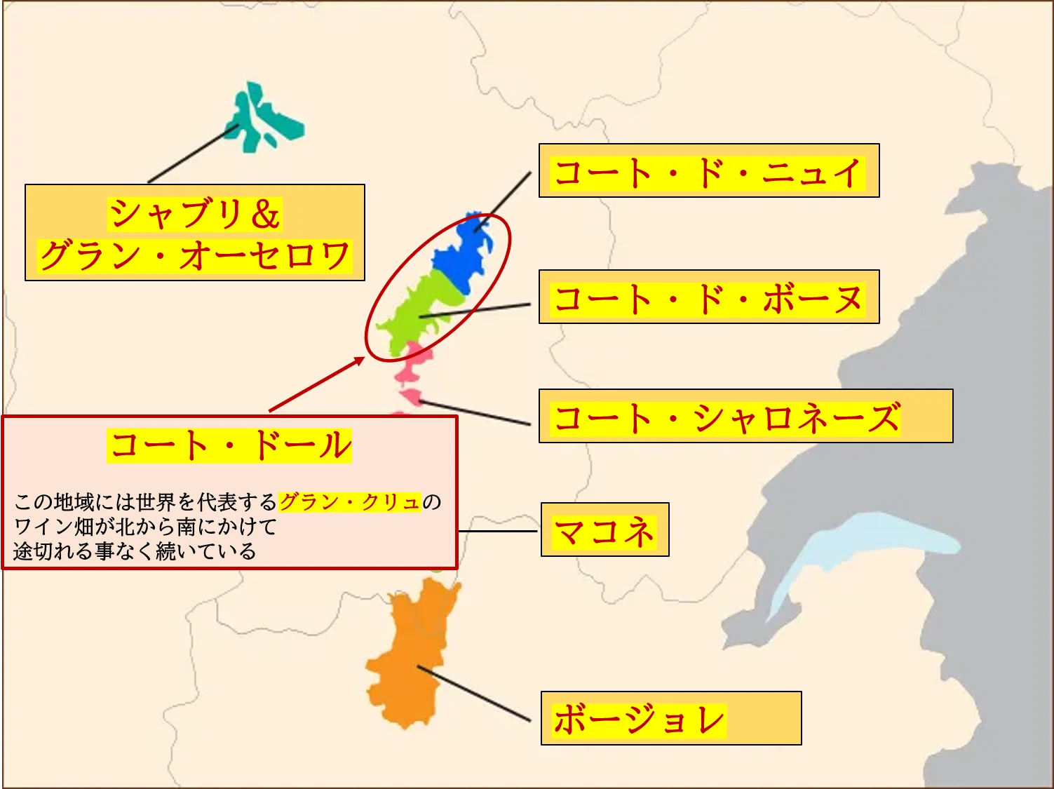 8】ブルゴーニュ「コート・ドール」徹底解説：ソムリエ試験にも役立つ
