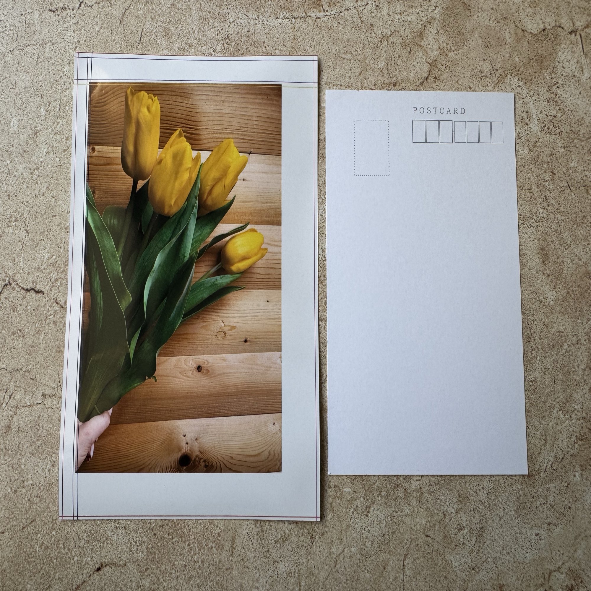 コンビニで2L判フォト用紙にはがきサイズの画像を印刷してみた｜あいこうら