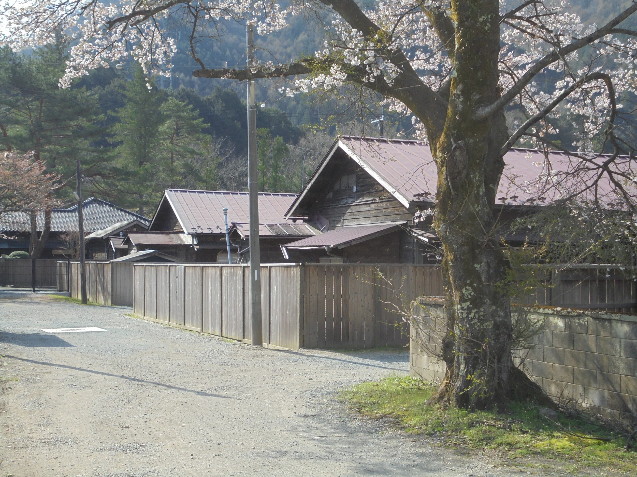みんなに役立つ足尾銅山の歴史－その8－（林業）｜坂本寛明