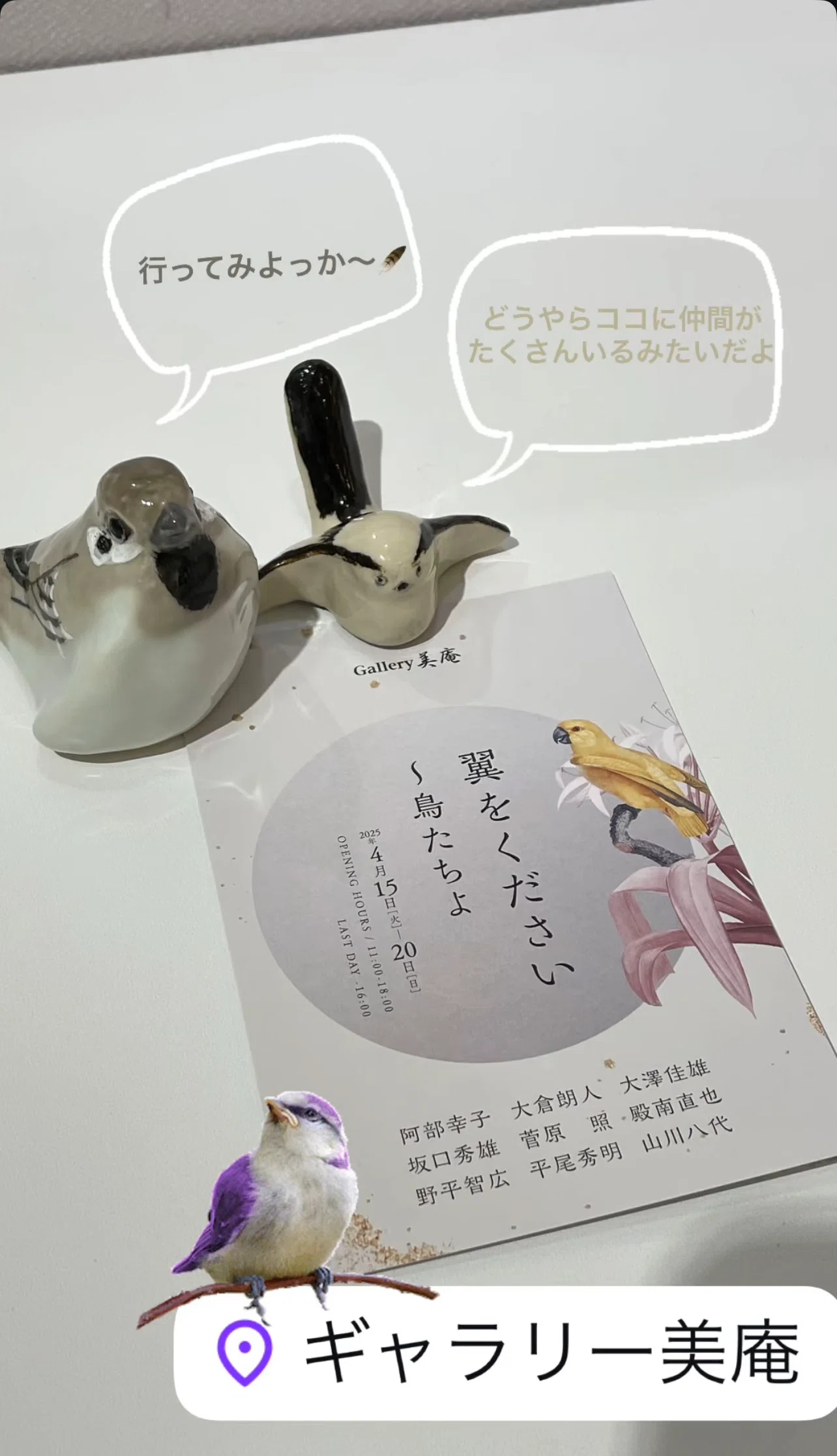 🦜🐧🐥より鳥み鳥🐥🐧🦜｜Gallery美庵（びあん）